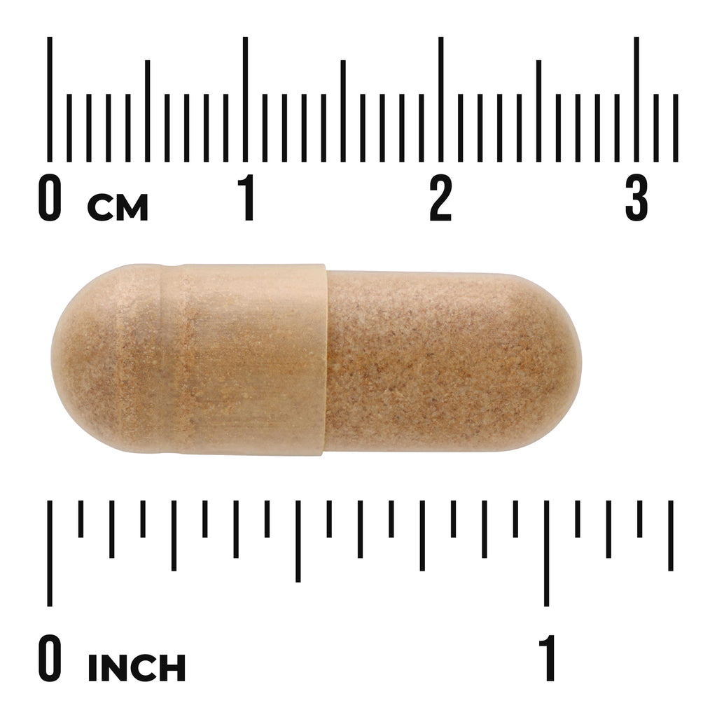 SWU033 | beige two-part capsule shown against centimeter and inch rulers for size reference - Thumbnail
