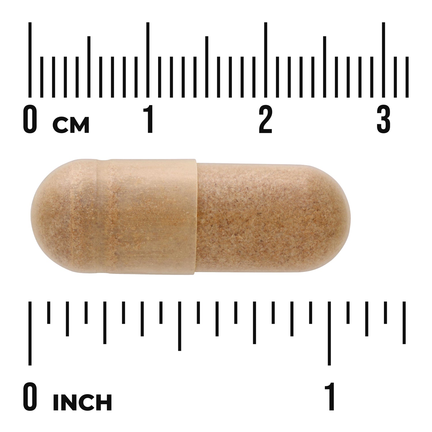 SWU033 | beige two-part capsule shown against centimeter and inch rulers for size reference
