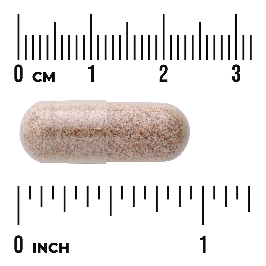SW1347 | Brown speckled capsule next to rulers marked 03 cm and 01 inch showing size, visible text "cm" and "inch" - Thumbnail
