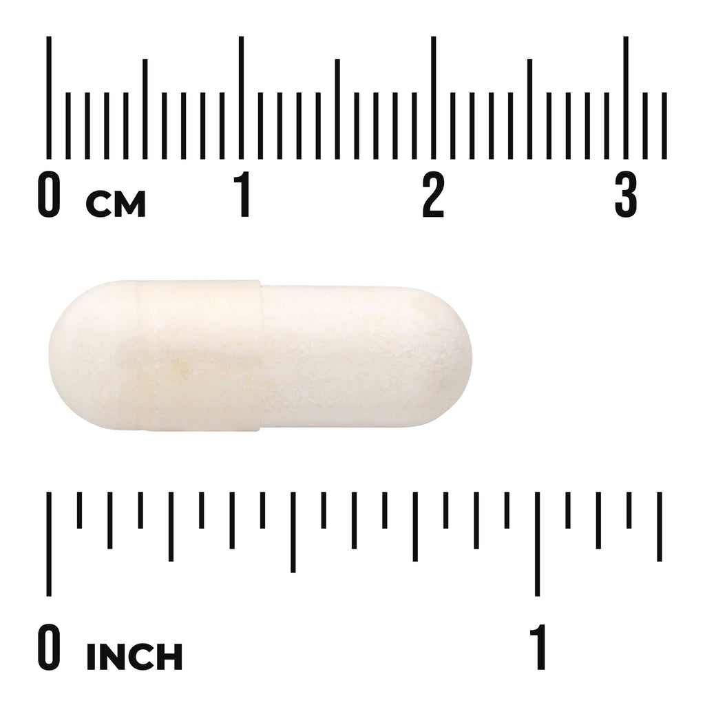 SWA025 | White capsule shown with centimeter and inch rulers for size - Thumbnail