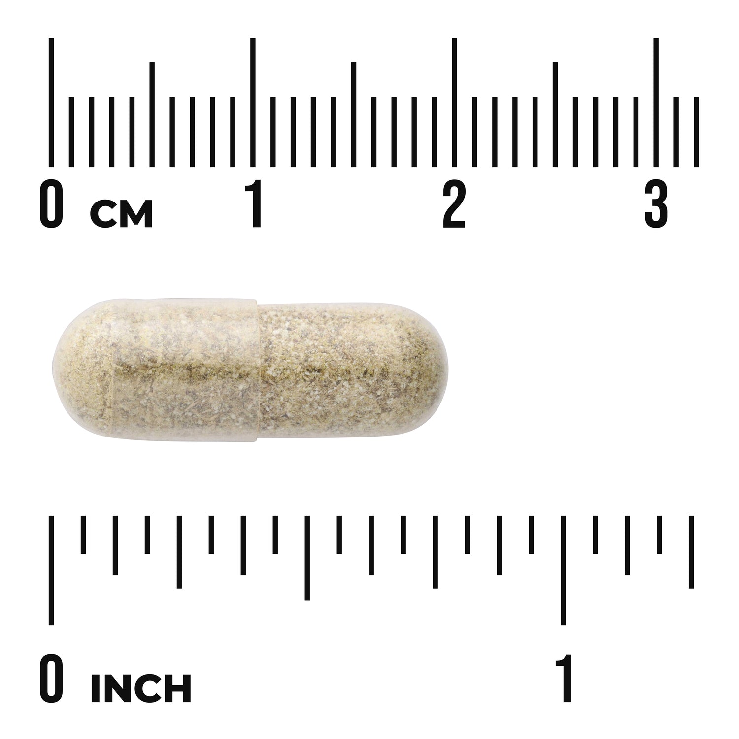 SW1737 | Clear capsule with powder, shown next to cm and inch rulers
