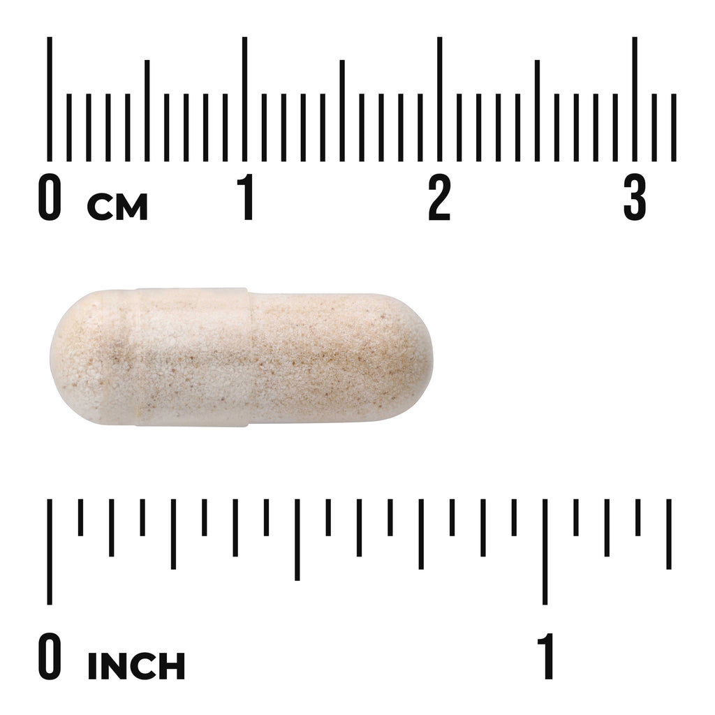 SWH174 | Beige capsule with size scale in centimeters and inches - Thumbnail