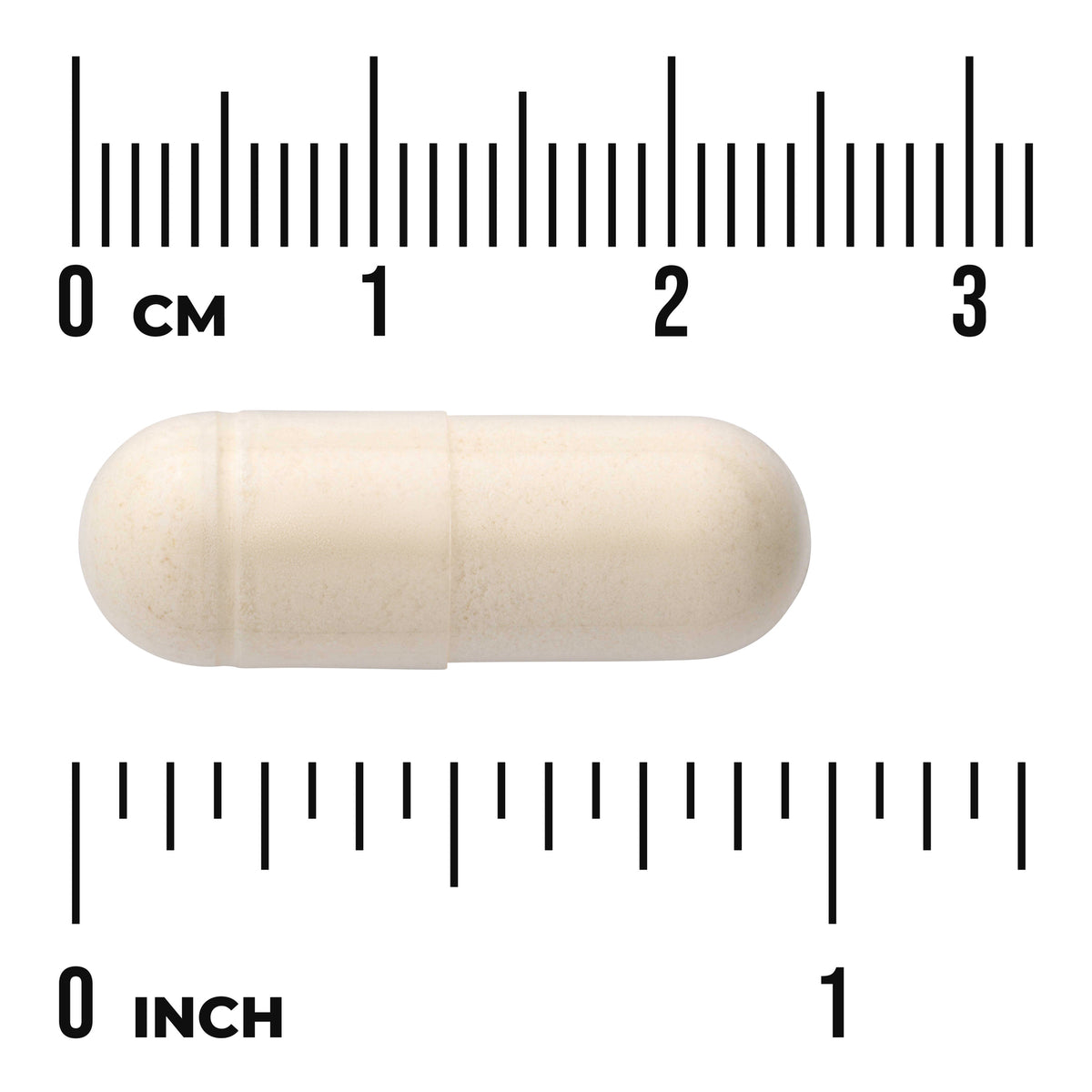 SWD094 | Beige capsule shown with cm and inch rulers for size reference