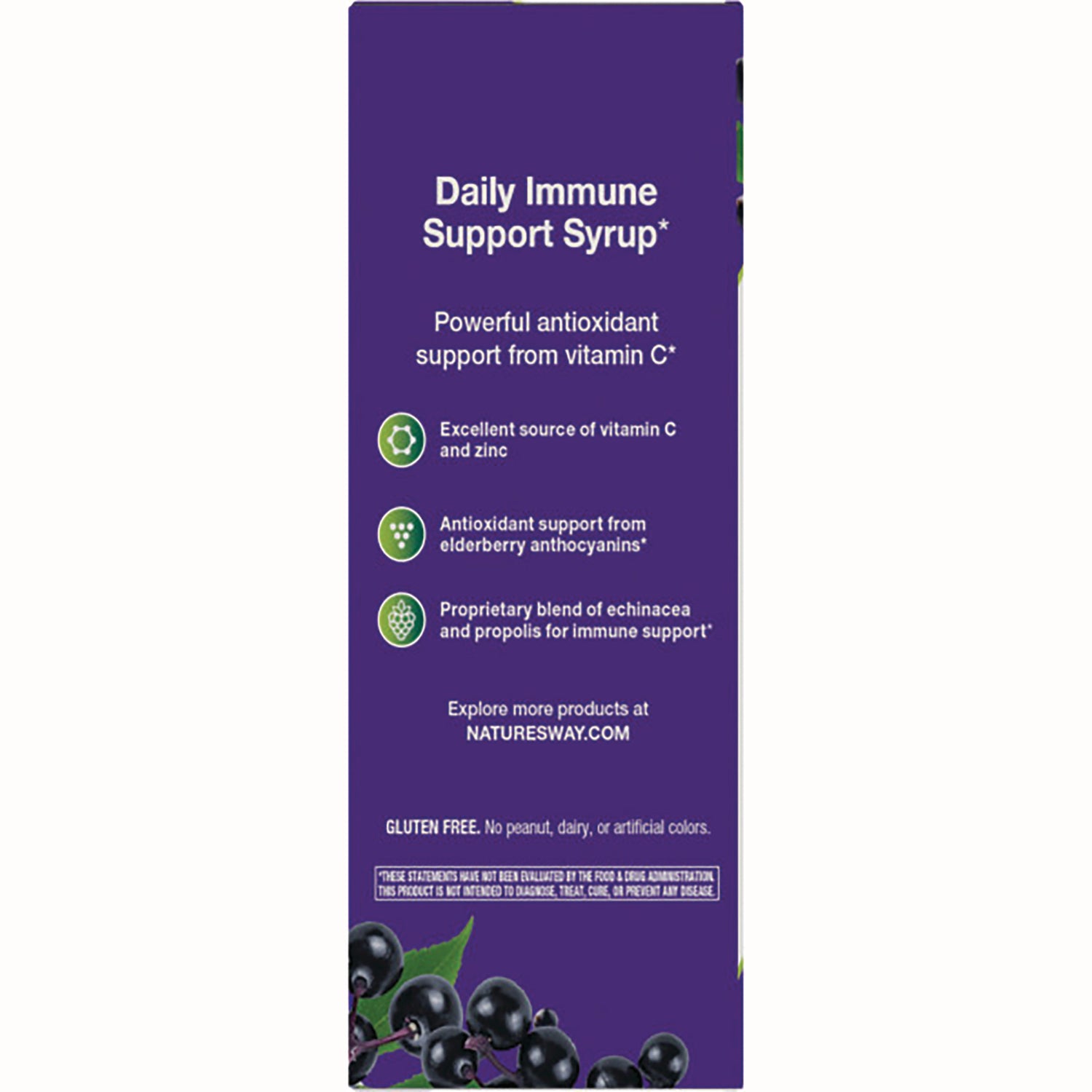 NW665 | Purple box back listing Daily Immune Support Syrup benefits: vitamin C, zinc, elderberry, echinacea