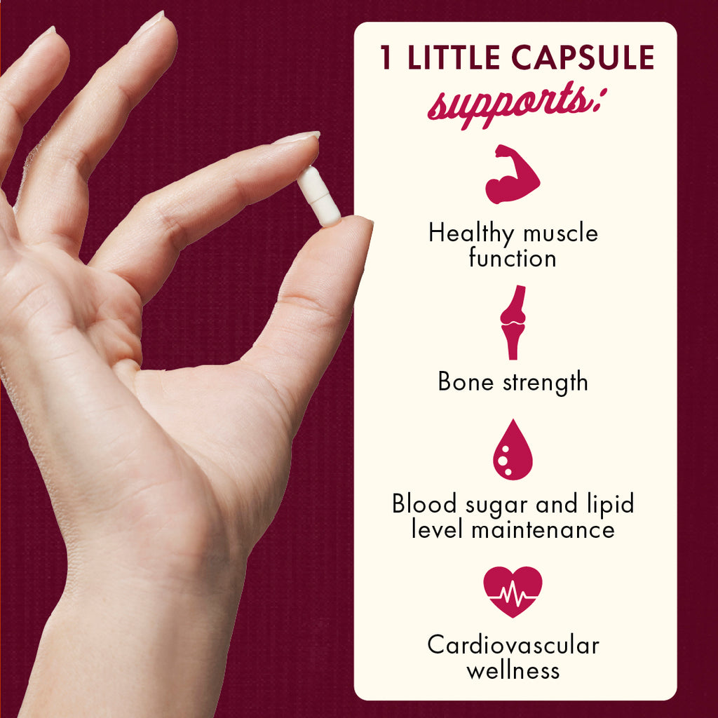 SW1804 | Hand holding a small white capsule beside infographic listing support for muscle function, bone strength, blood sugar and cardiovascular wellness - Thumbnail