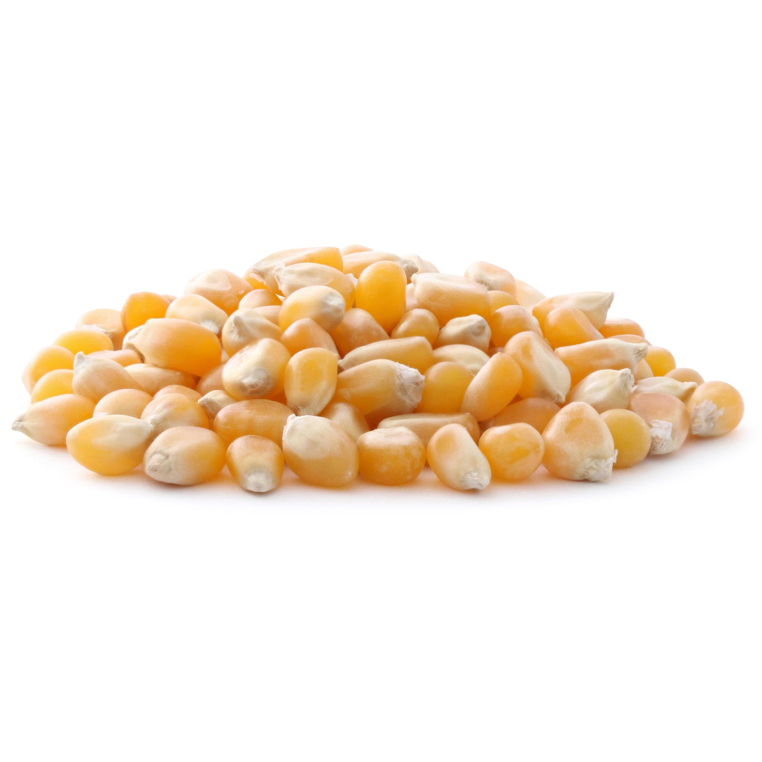 SWF187 | Pile of yellow corn kernels
