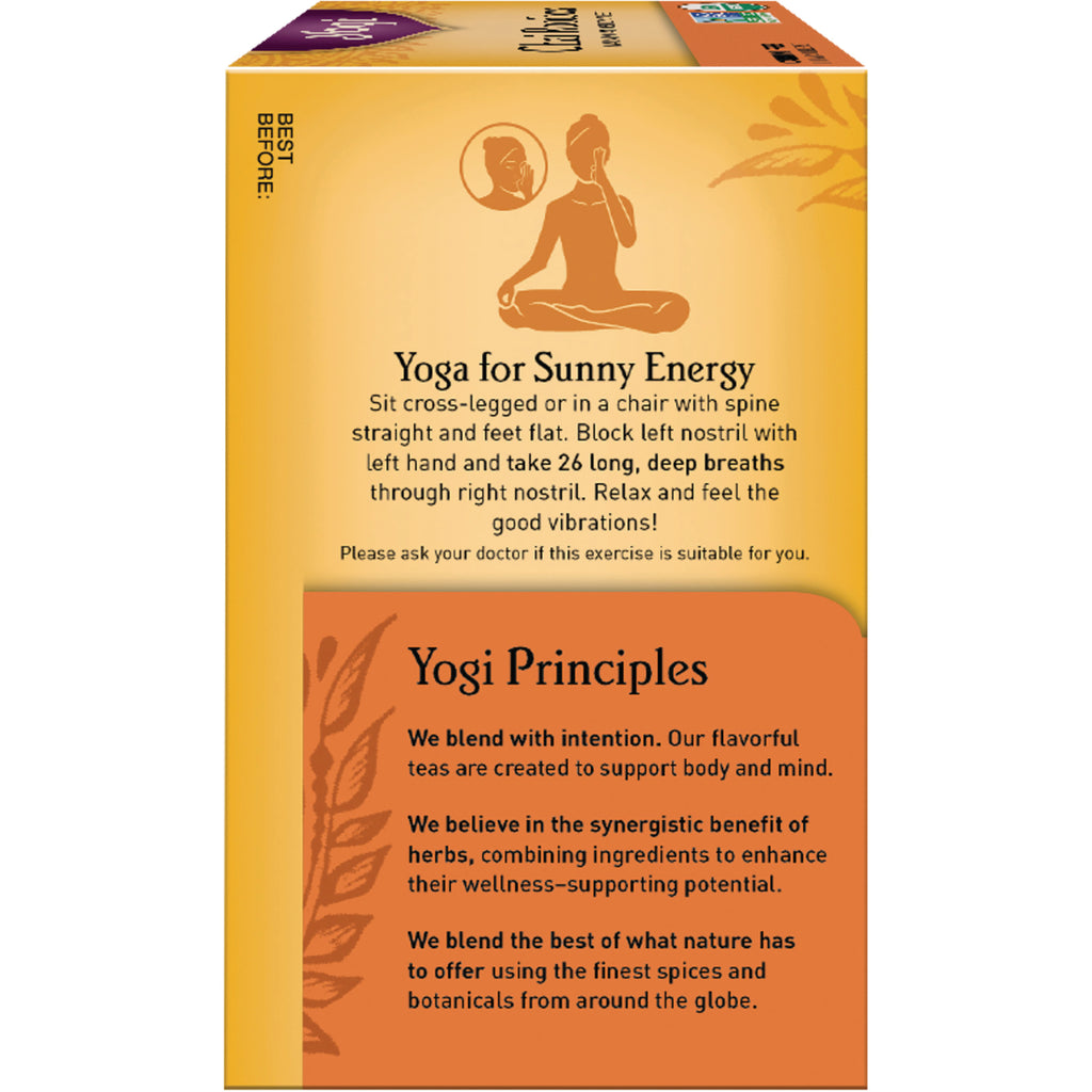 AHW022 | Box panel with Yoga for Sunny Energy breathing instructions and Yogi Principles text - Thumbnail