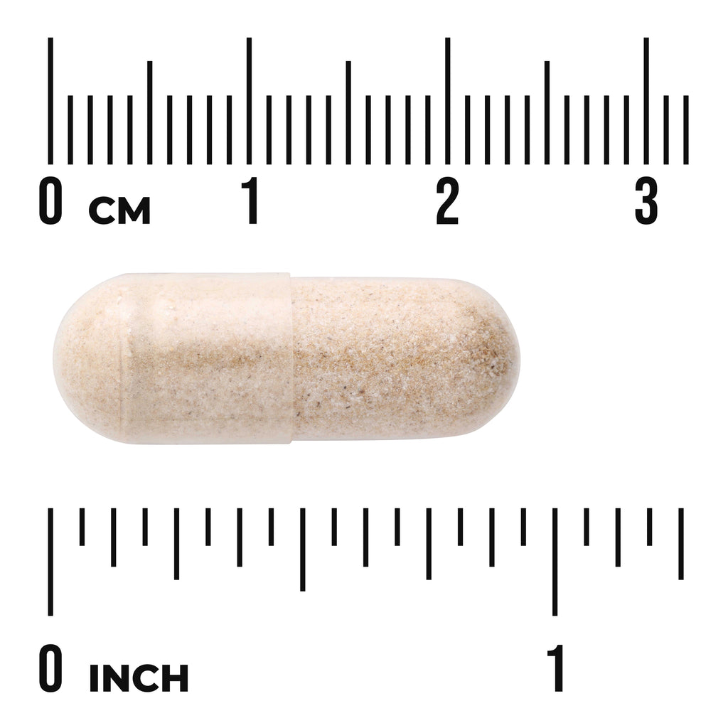 SW1404 | Beige capsule with size reference, rulers labeled cm and inch - Thumbnail