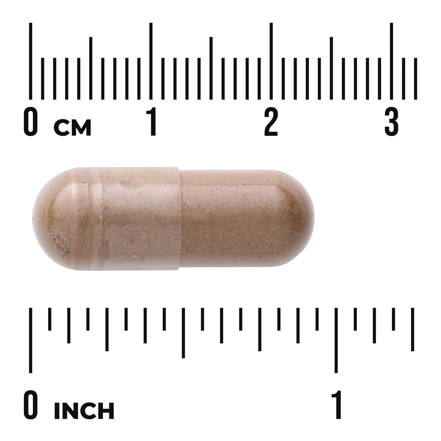 SW978 | Brown capsule shown with metric and inch rulers for size