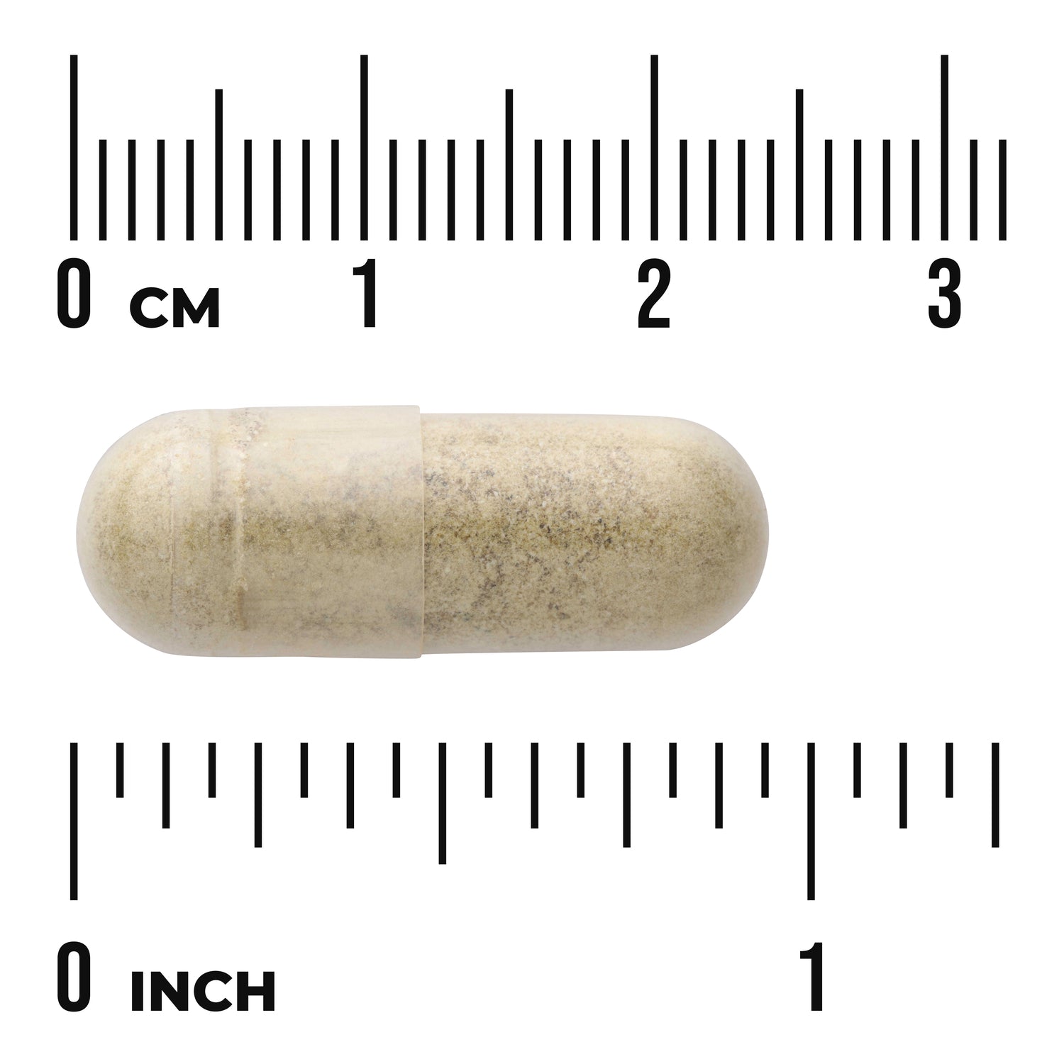 SWH159 | Beige powder-filled capsule photographed on centimeter and inch rulers to show size