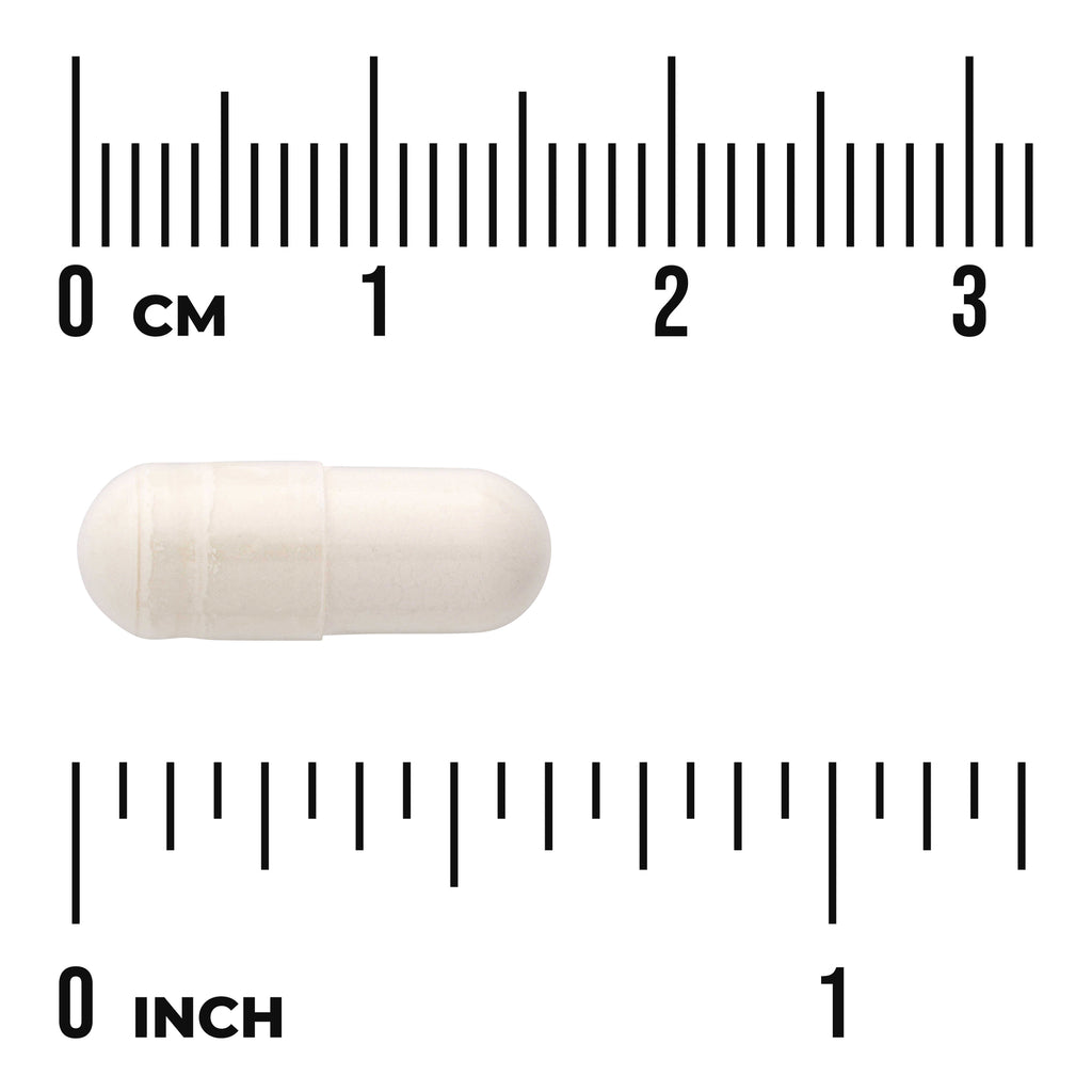 SWU872 | White capsule on centimeter and inch rulers showing pill size and shape - Thumbnail
