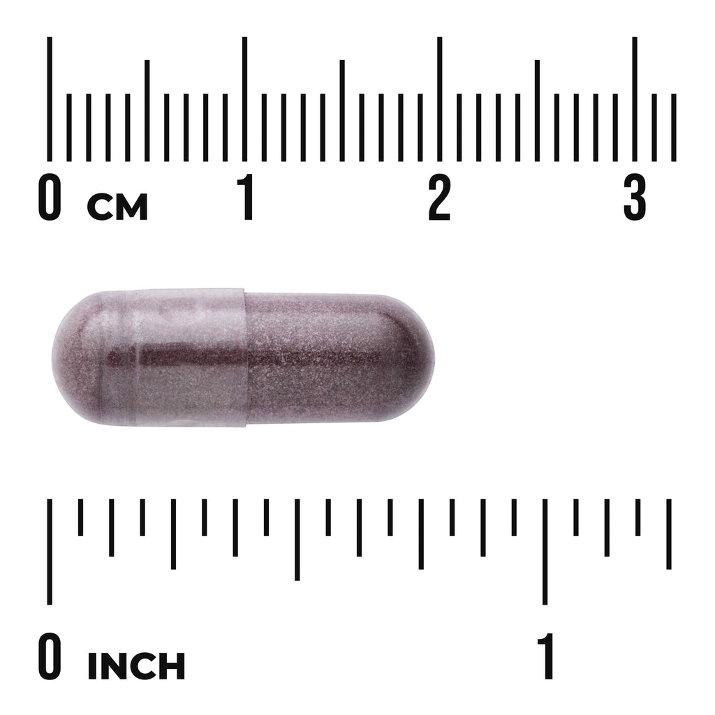 SWH153 | Purple-gray capsule beside centimeter and inch rulers, about 2.8 cm (1.1 in) long - Thumbnail