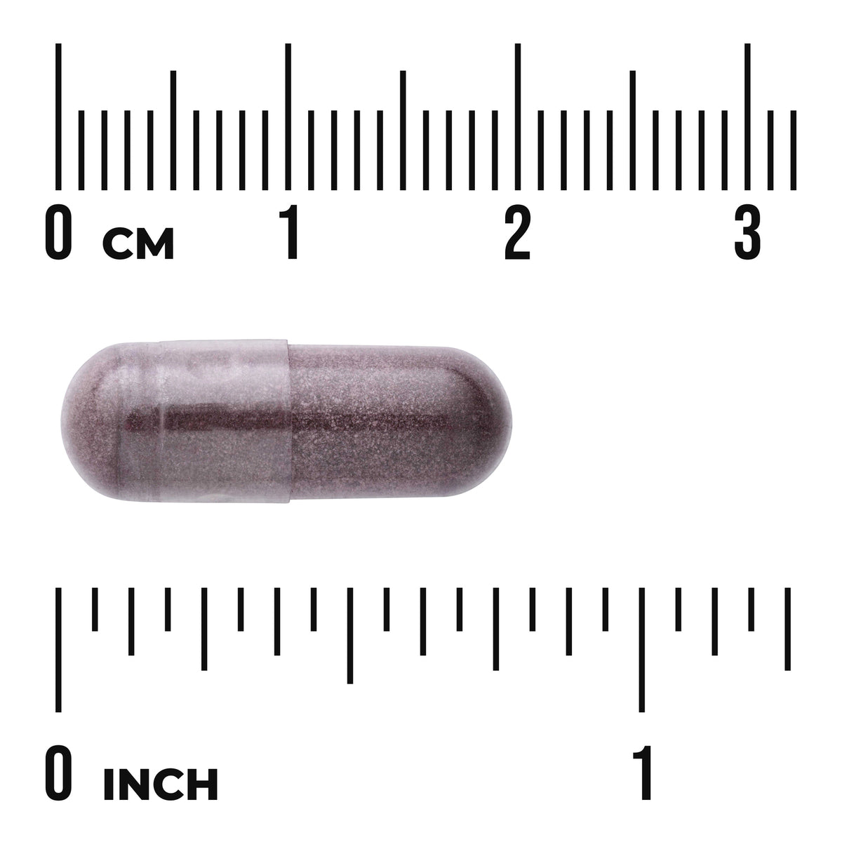 SWH153 | Purple-gray capsule beside centimeter and inch rulers, about 2.8 cm (1.1 in) long
