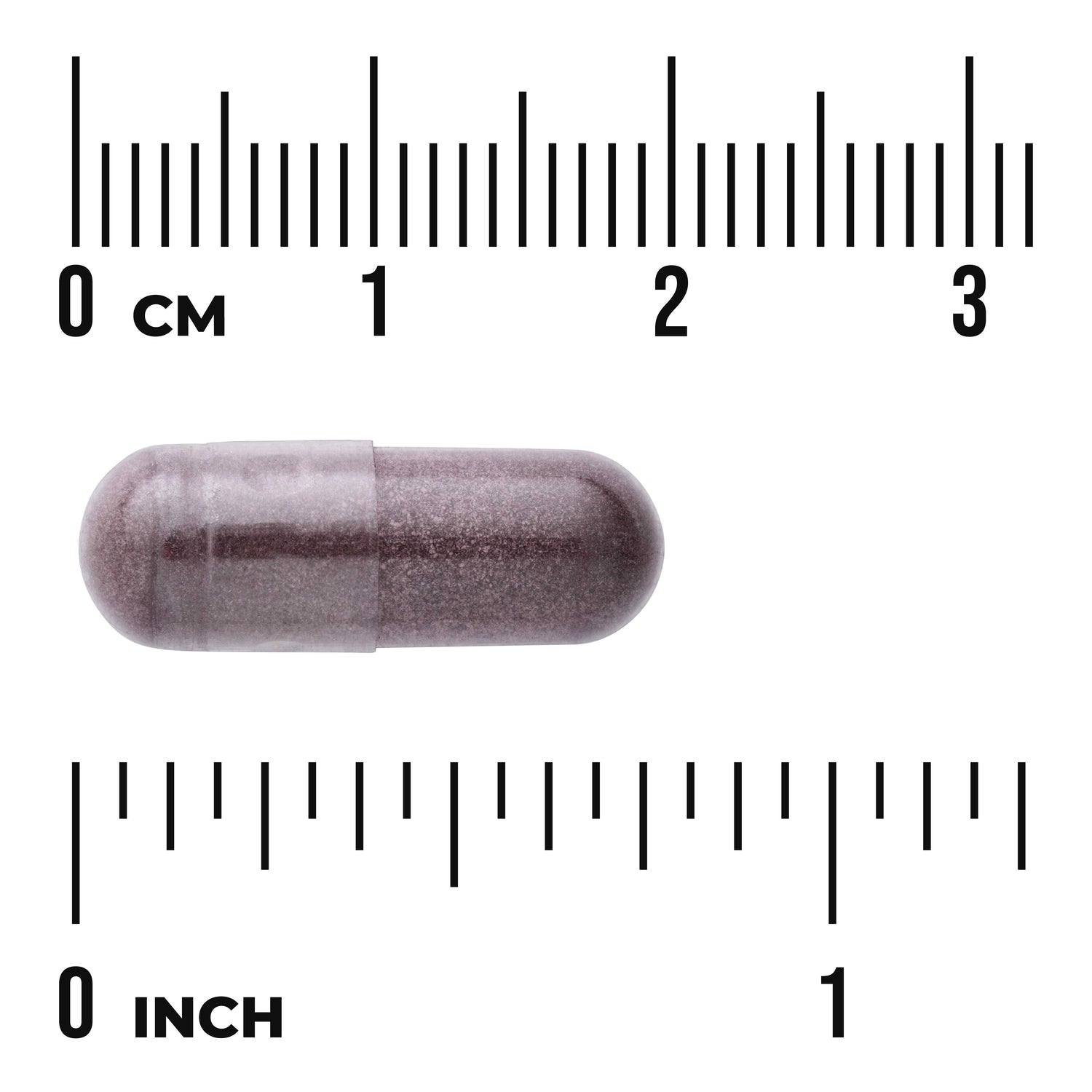 SWH153 | Purple-gray capsule beside centimeter and inch rulers, about 2.8 cm (1.1 in) long
