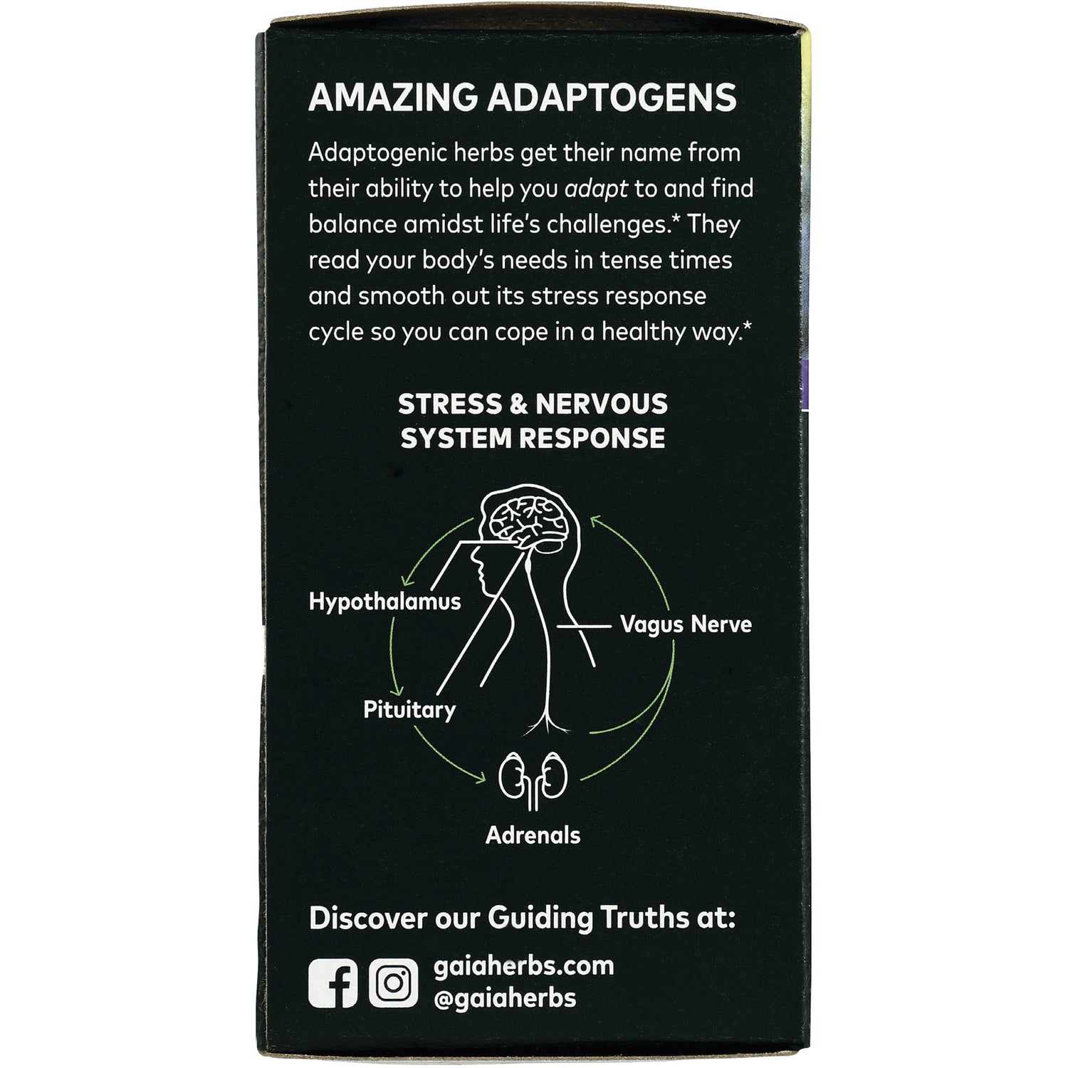 GH019 | product infographic showing AMAZING ADAPTOGENS panel with stress and nervous system response diagram labeled Hypothalamus, Pituitary, Vagus Nerve, Adrenals and gaiaherbs.com