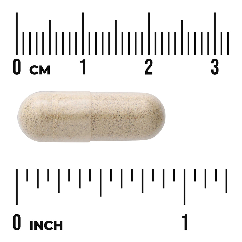 SWH053 | Beige speckled capsule displayed against centimeter and inch rulers showing '0 CM' and '0 INCH' for scale - Thumbnail