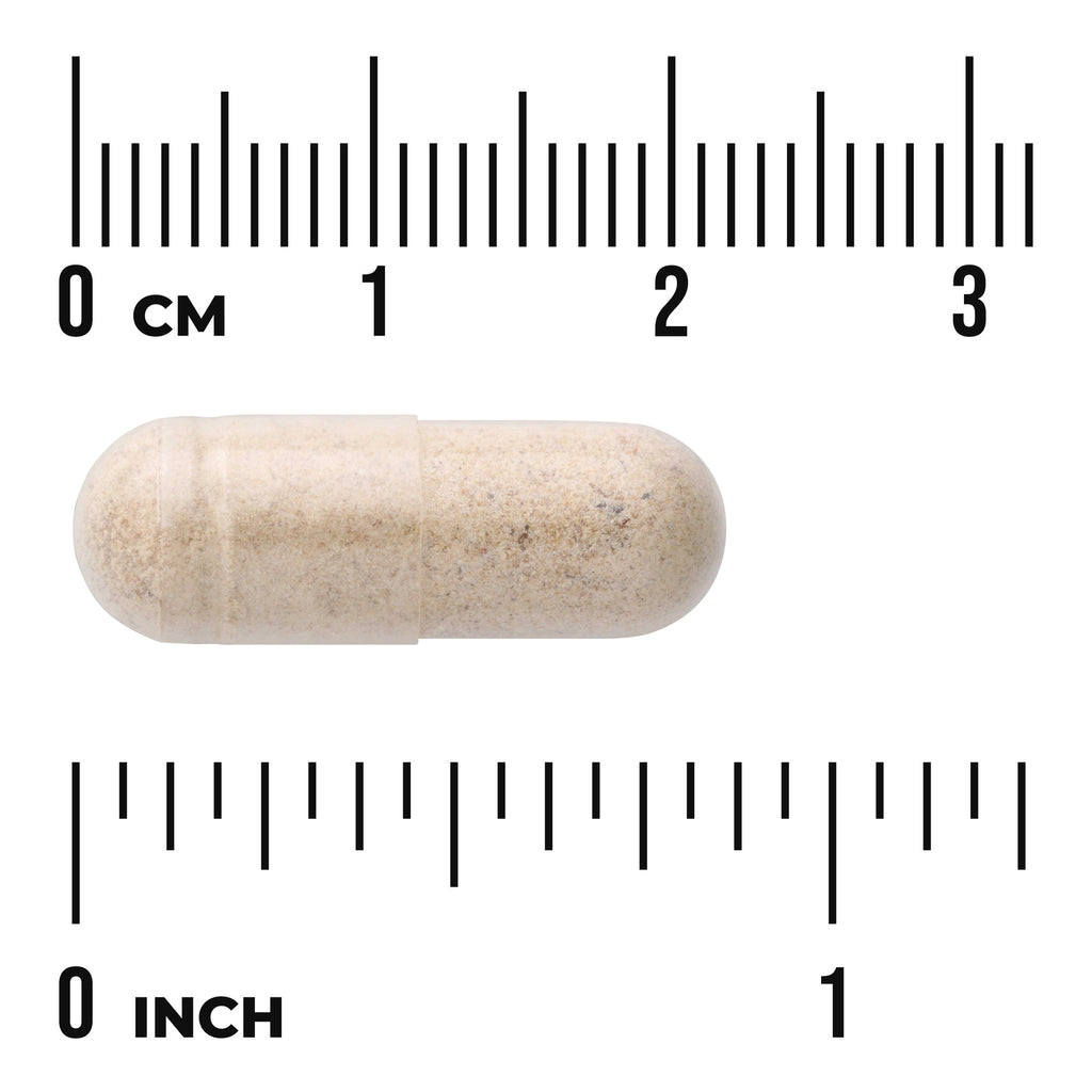 SW1385 | Beige capsule with size chart showing 03 cm and 01 inch - Thumbnail