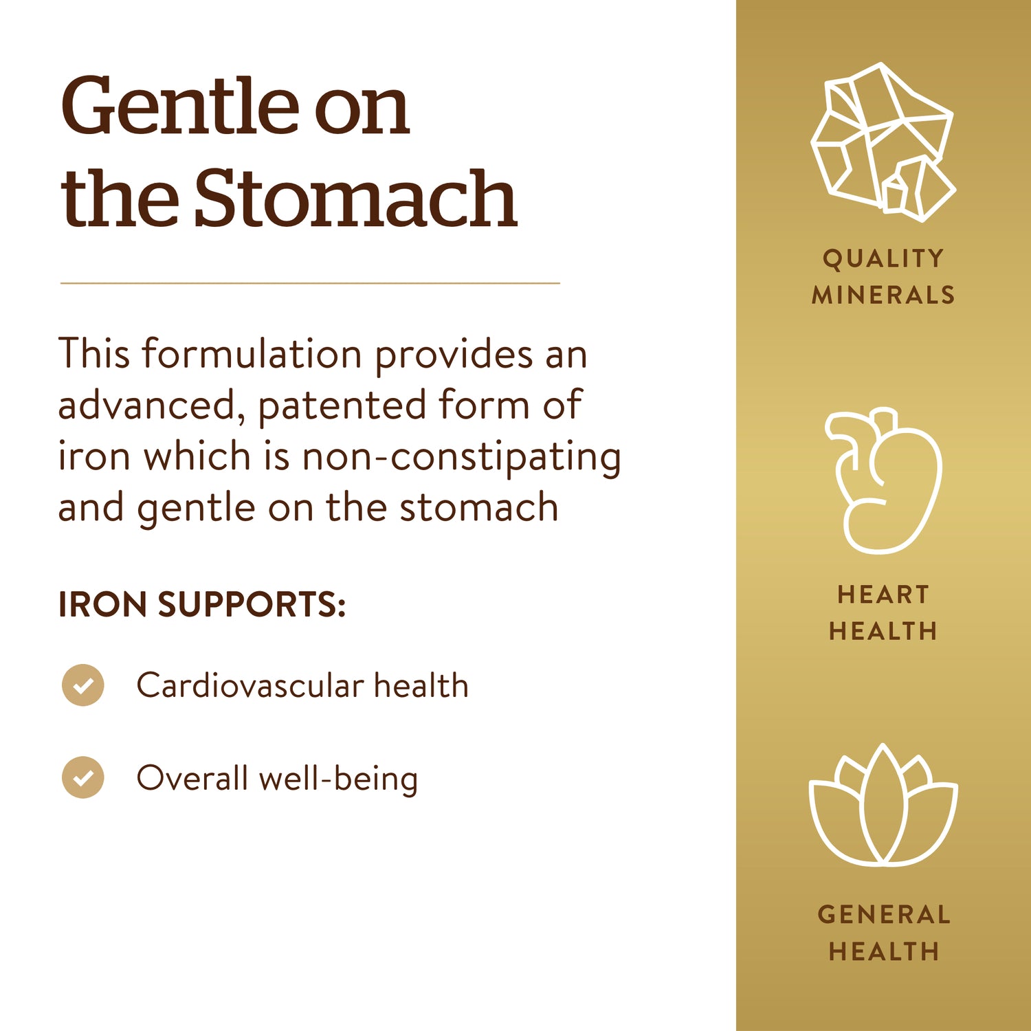 SLG228 | Back panel Gentle on the Stomach describing non-constipating iron with heart and general health icons