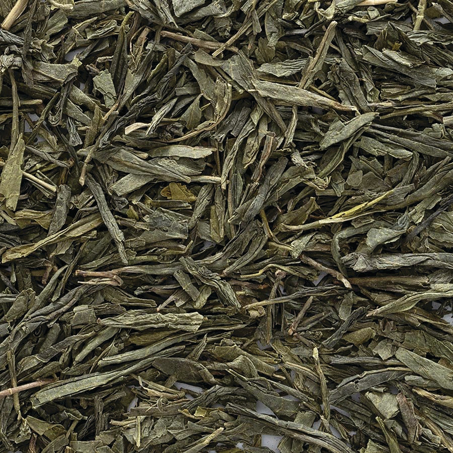 FNP086 | close-up of loose dried flat green tea leaves