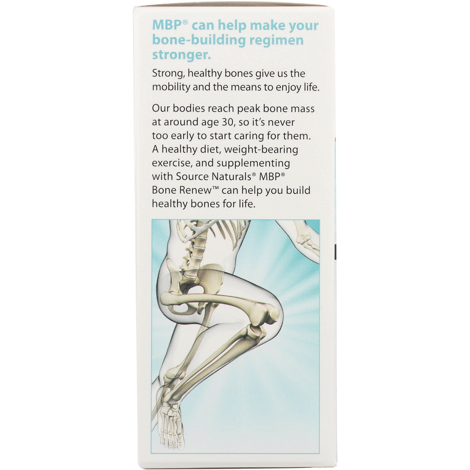 SN548 | Side panel: MBP can help make your bone-building regimen stronger with skeleton illustration