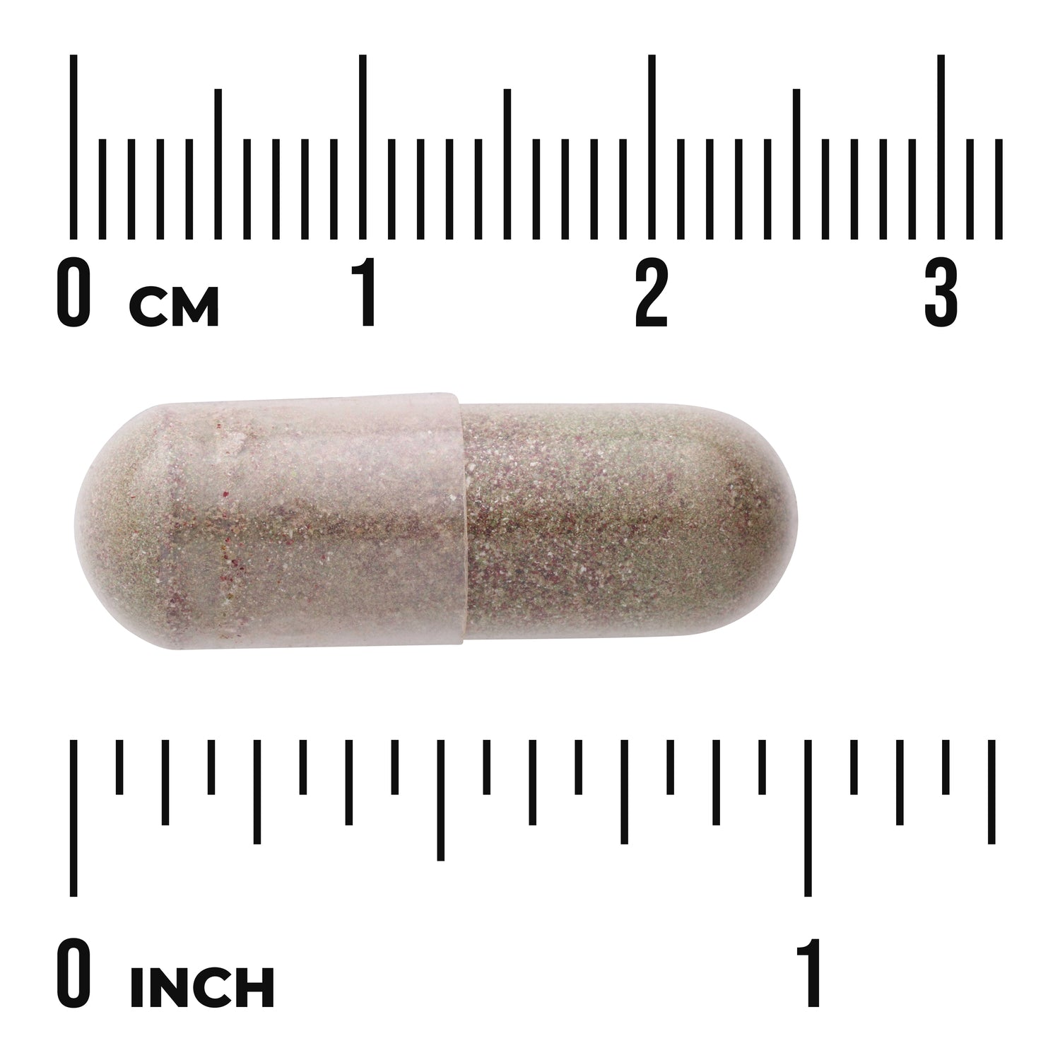 SWU831 | Clear two-piece capsule filled with speckled brown powder shown against centimeter and inch rulers for sizeReference