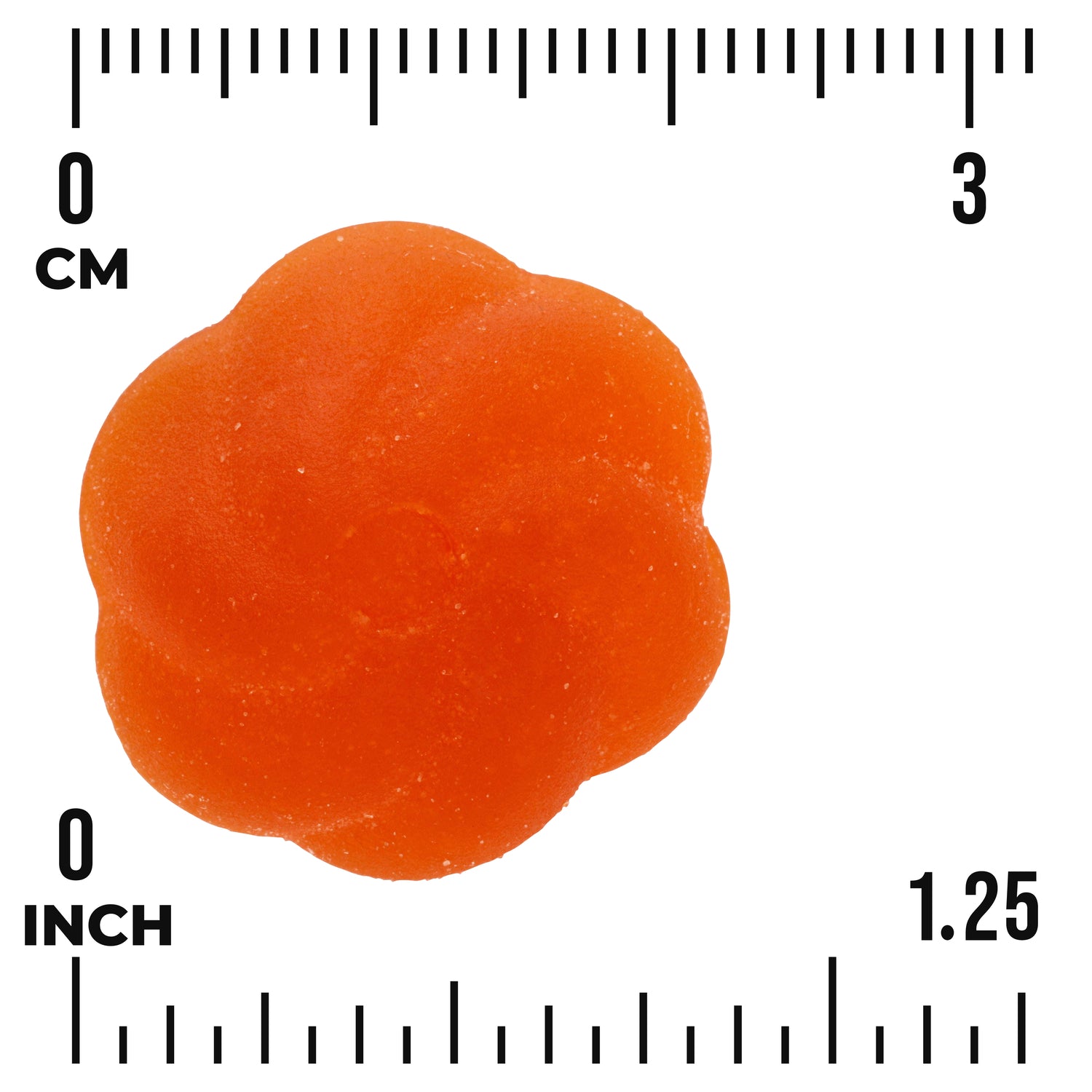 SW1944 | orange flower-shaped gummy on measurement grid with cm and inch scales