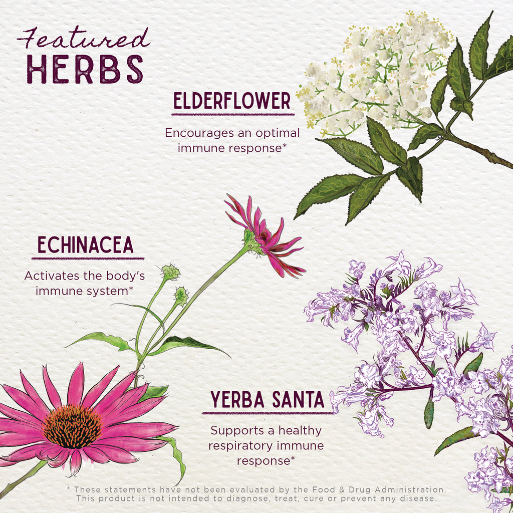 WGH003 | Featured Herbs: Elderflower, Echinacea, Yerba Santa with immune and respiratory support claims - Thumbnail