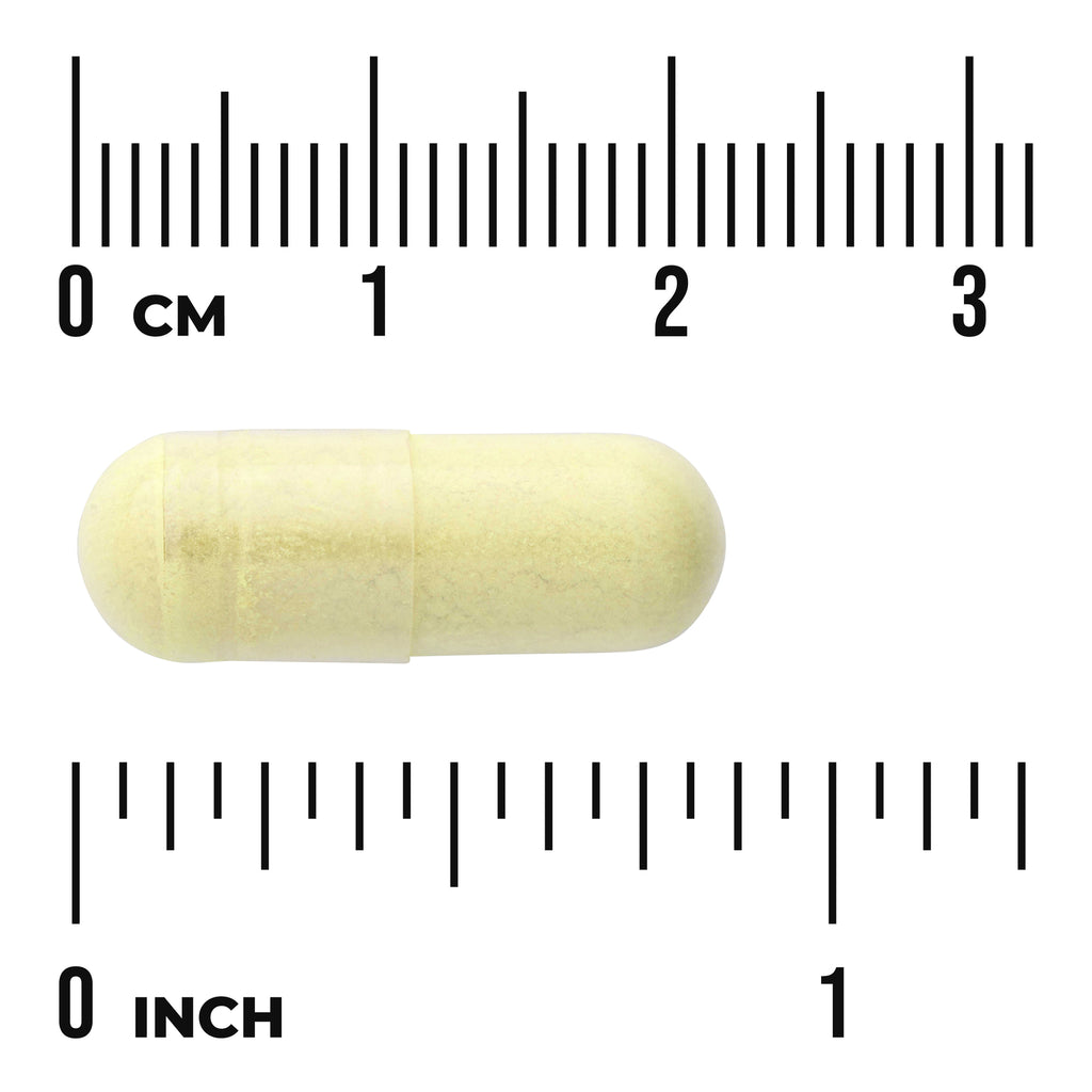 SW732 | Yellow capsule with centimeter and inch ruler scale - Thumbnail