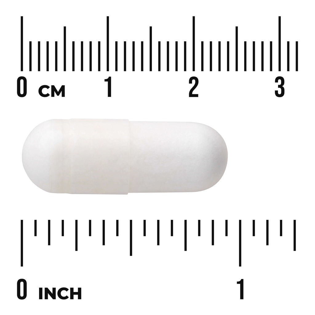 SW1121 | White capsule shown against cm and inch ruler for size - Thumbnail