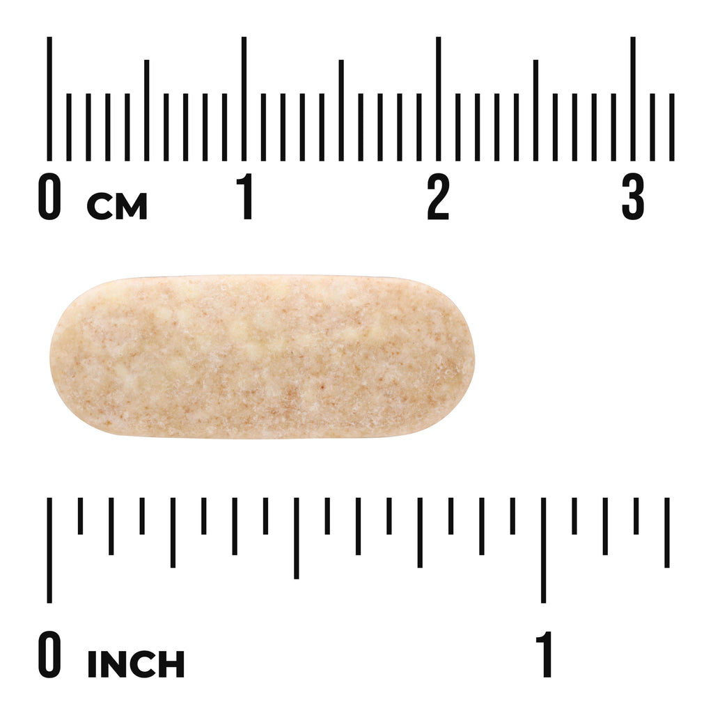 SW098 | Oblong beige tablet on measurement scale showing 0 cm and 0 inch for size reference - Thumbnail
