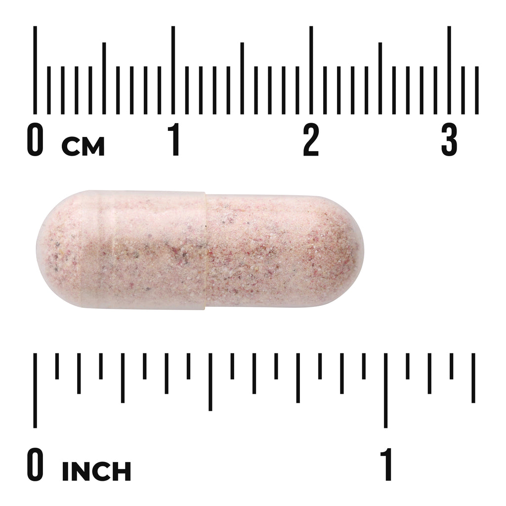 SW1387 | Pink speckled capsule shown with centimeter and inch rulers for size reference - Thumbnail