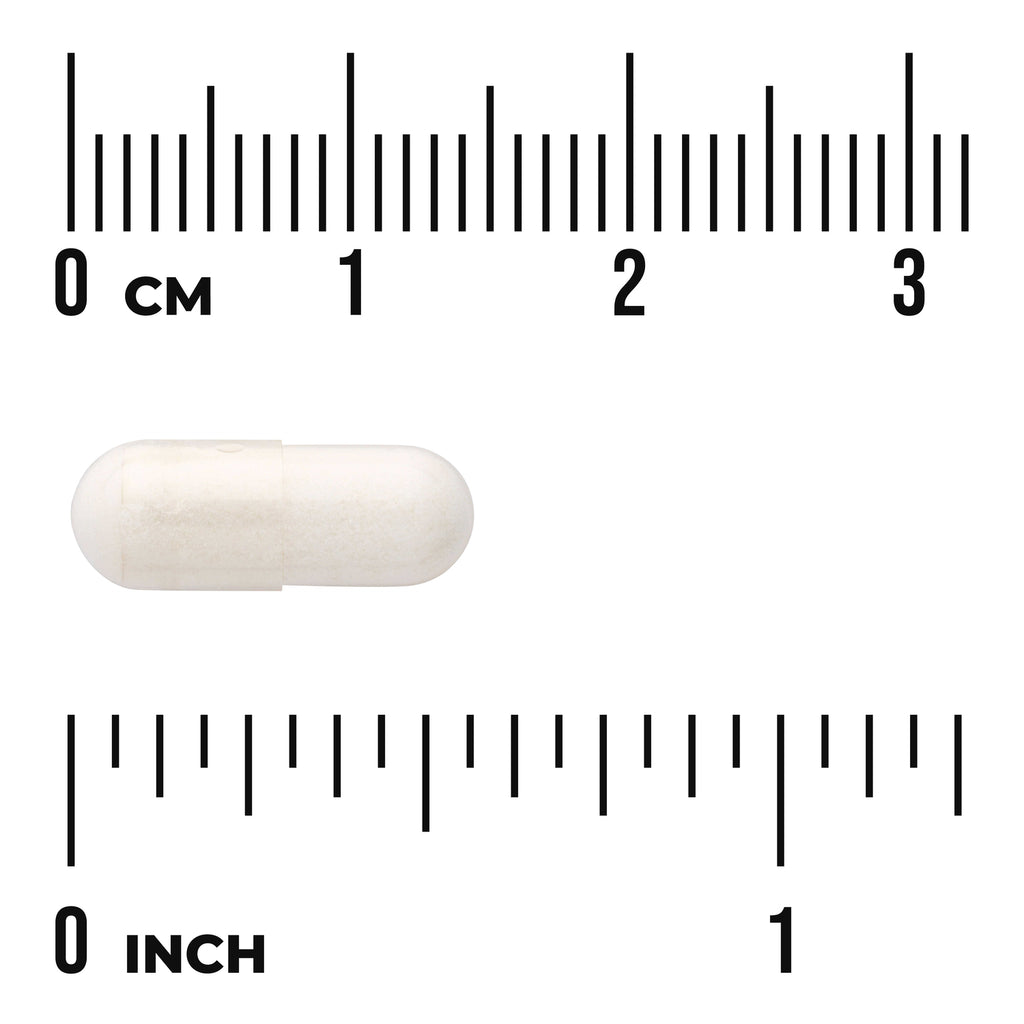 SW1648 | White capsule with size scale in centimeters and inches - Thumbnail