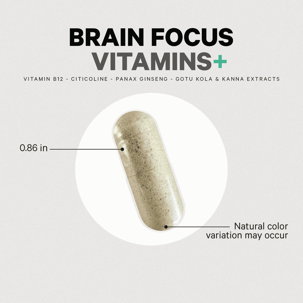 CDG032 | product infographic showing Brain Focus Vitamins beige capsule 0.86 in with natural color variation may occur - Thumbnail