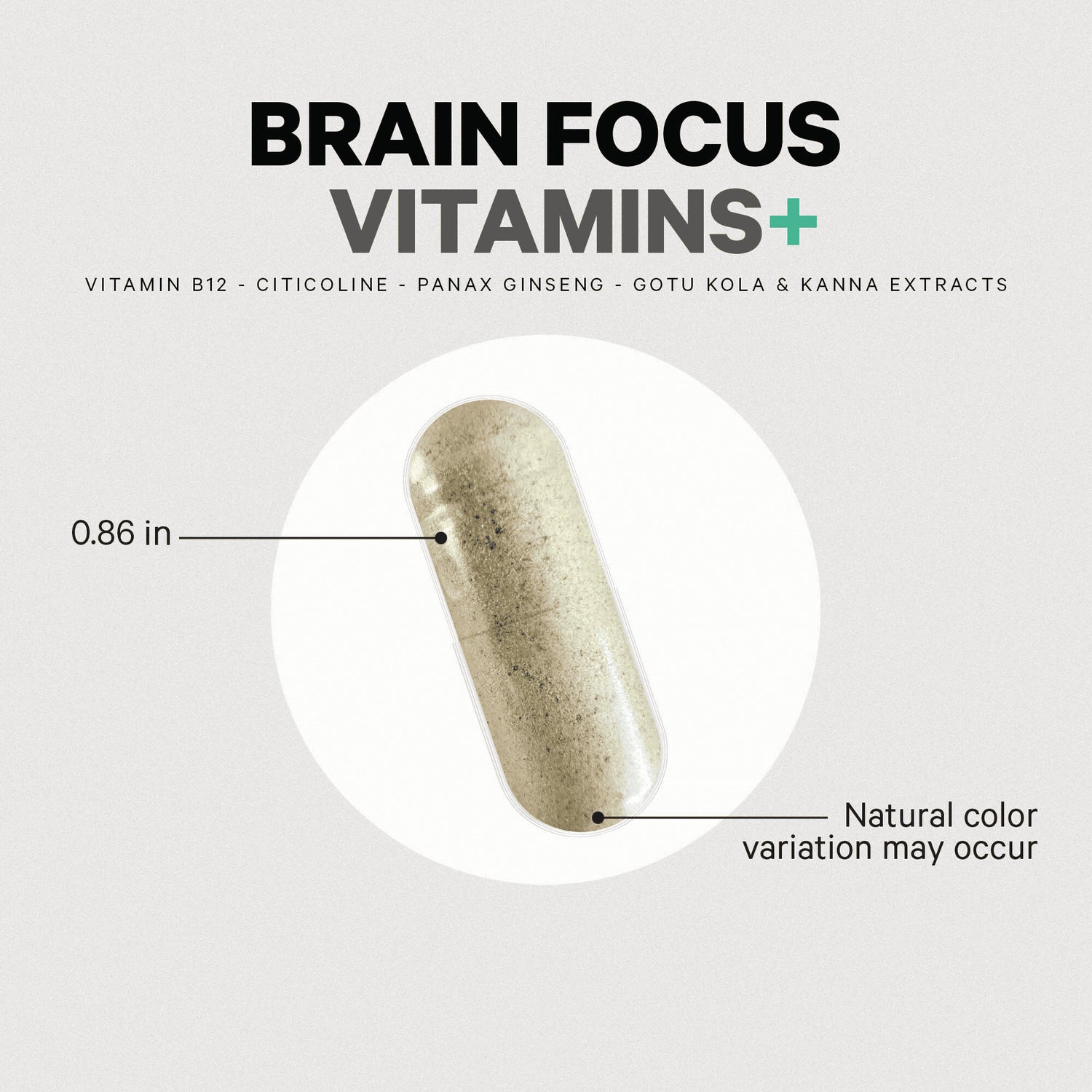 CDG032 | product infographic showing Brain Focus Vitamins beige capsule 0.86 in with natural color variation may occur