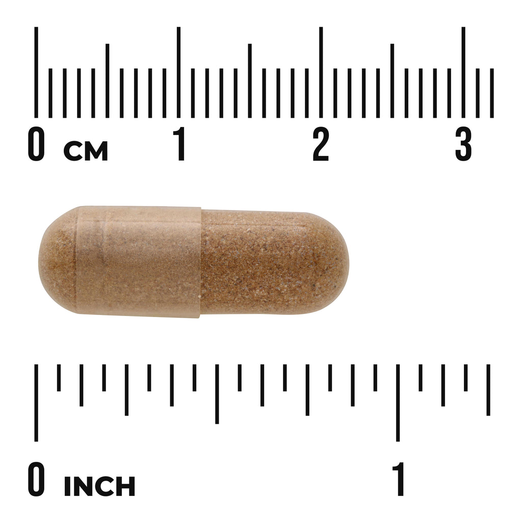 SW1911 | Brown supplement capsule with centimeter and inch rulers showing size - Thumbnail