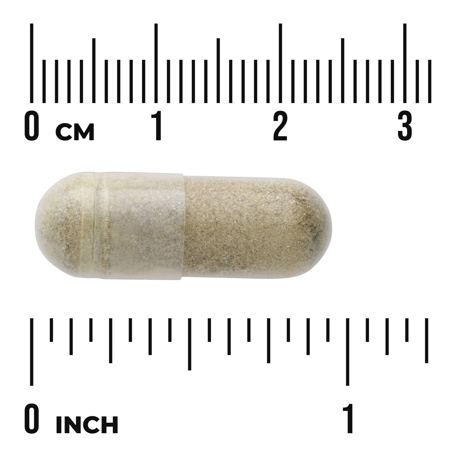 SWH158 | Clear vegetarian capsule filled with beige powder shown against centimeter and inch rulers to indicate size