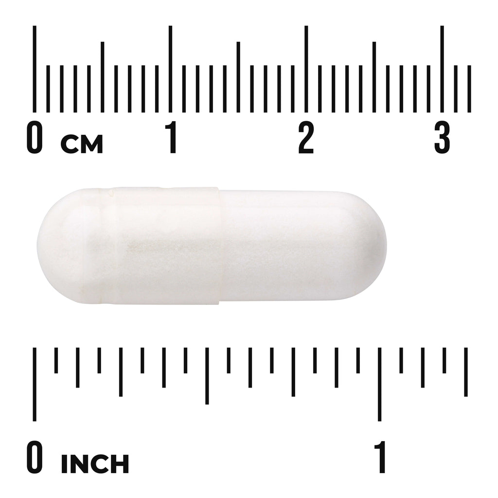 SW1743 | White capsule with size scale showing 03 cm and 01 inch - Thumbnail
