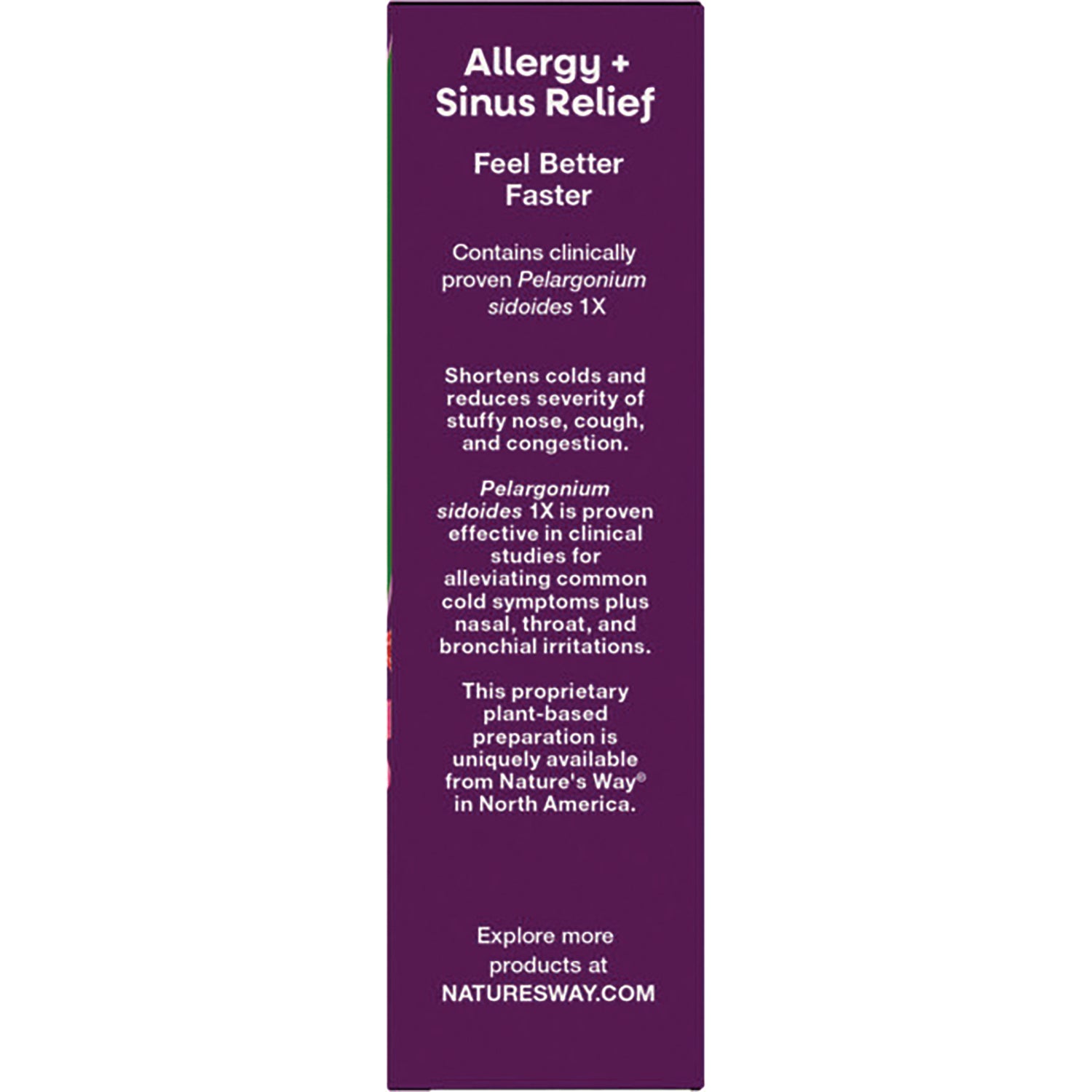 NW1053 | Back panel of Allergy + Sinus Relief box showing product claims, Pelargonium sidoides 1X and NATURESWAY.COM