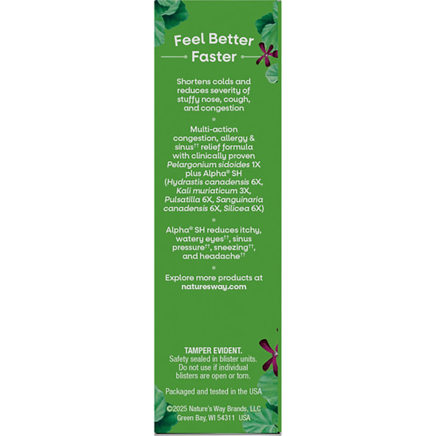 NW1053 | Back panel of Allergy + Sinus Relief box showing product claims, Pelargonium sidoides 1X and NATURESWAY.COM