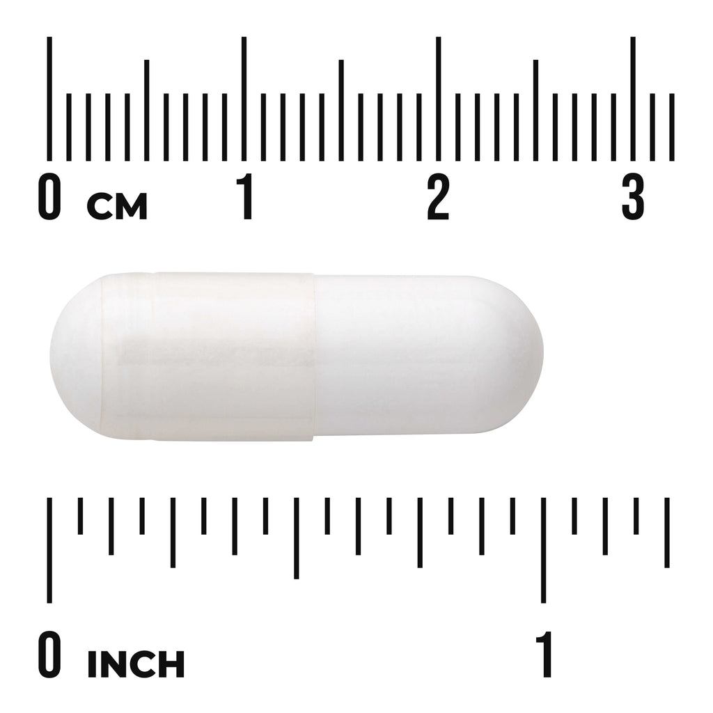 SW1817 | White capsule shown next to cm and inch ruler for size reference - Thumbnail