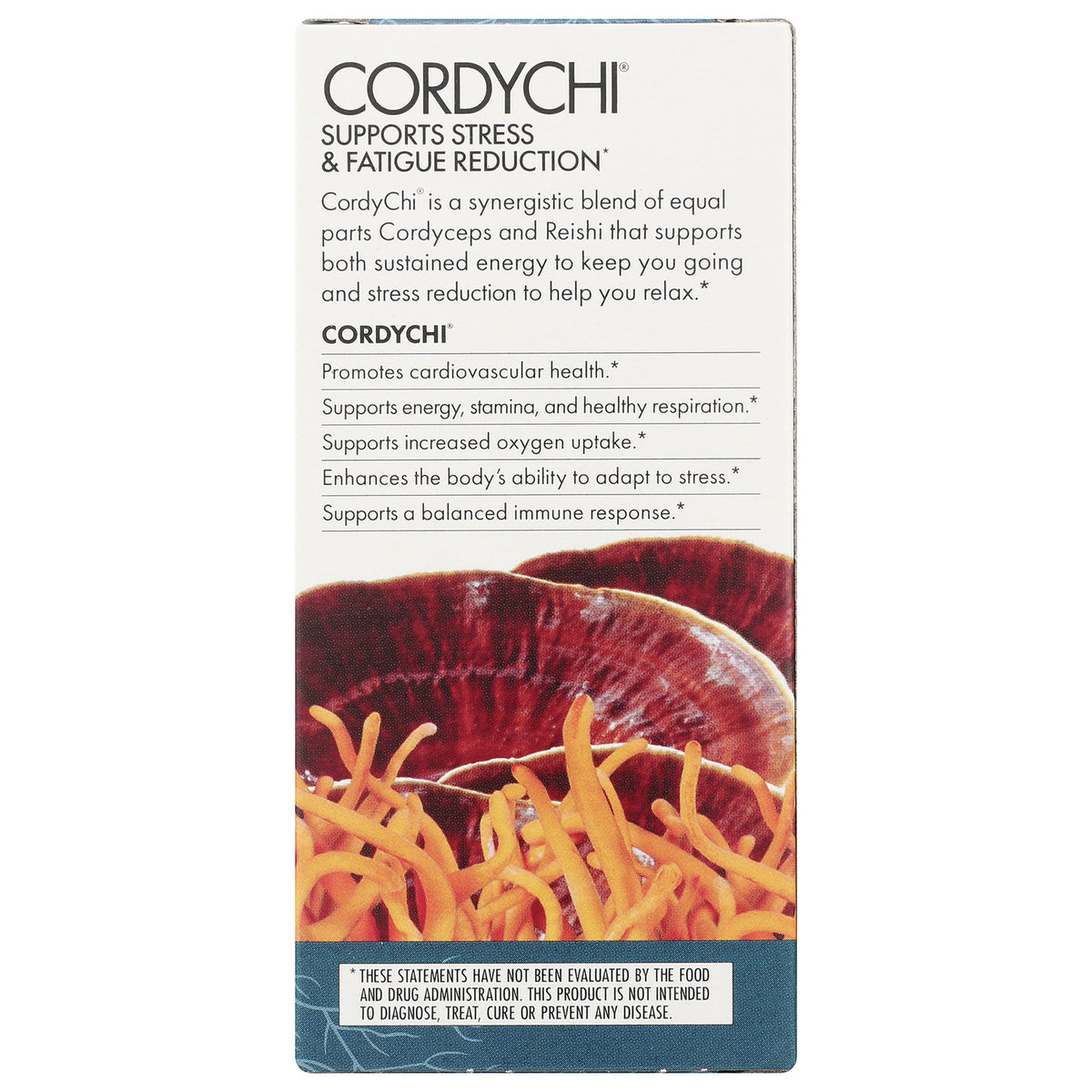 FUN006 | CordyChi supports stress & fatigue reduction panel listing benefits with cordyceps and reishi mushrooms image
