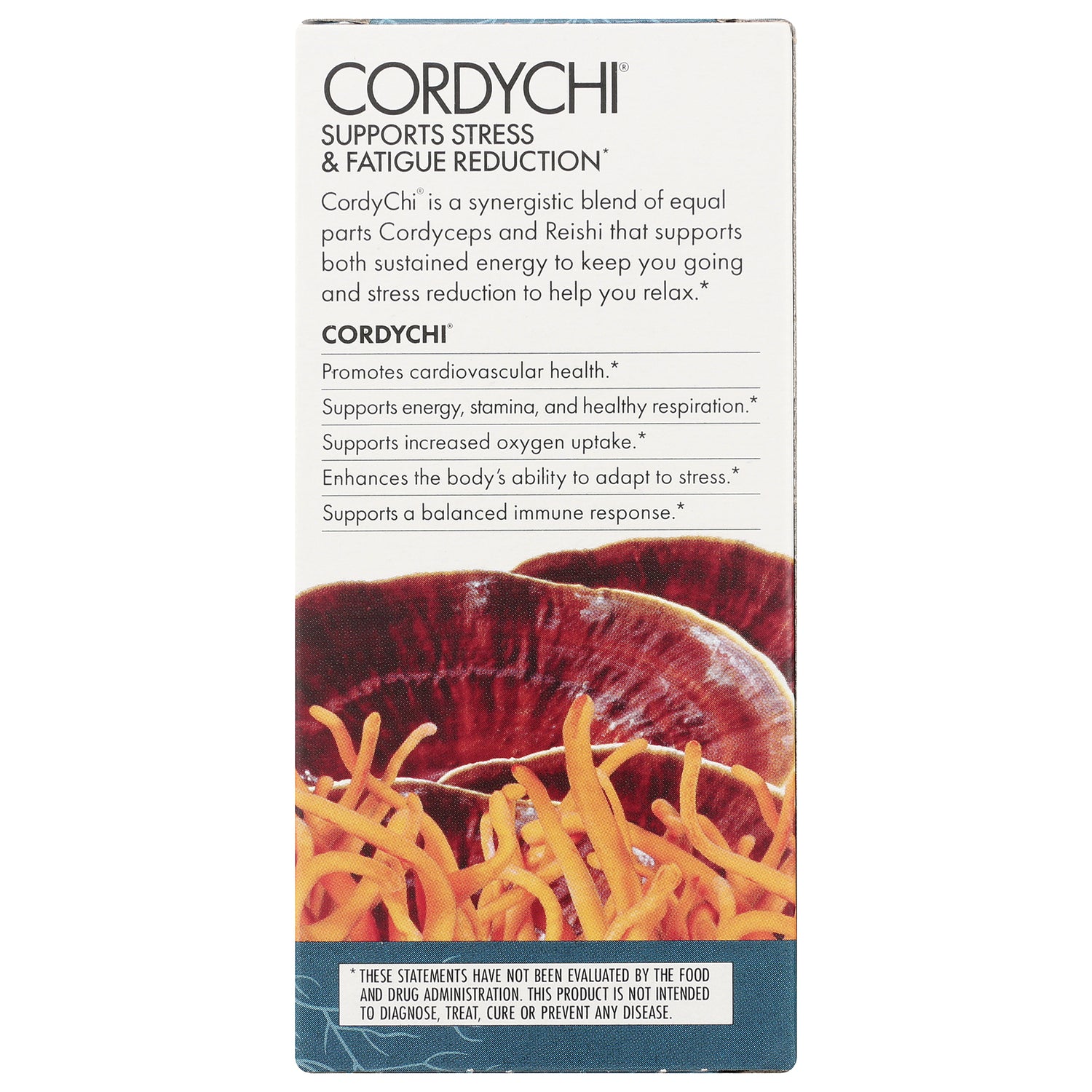 FUN006 | CordyChi supports stress & fatigue reduction panel listing benefits with cordyceps and reishi mushrooms image
