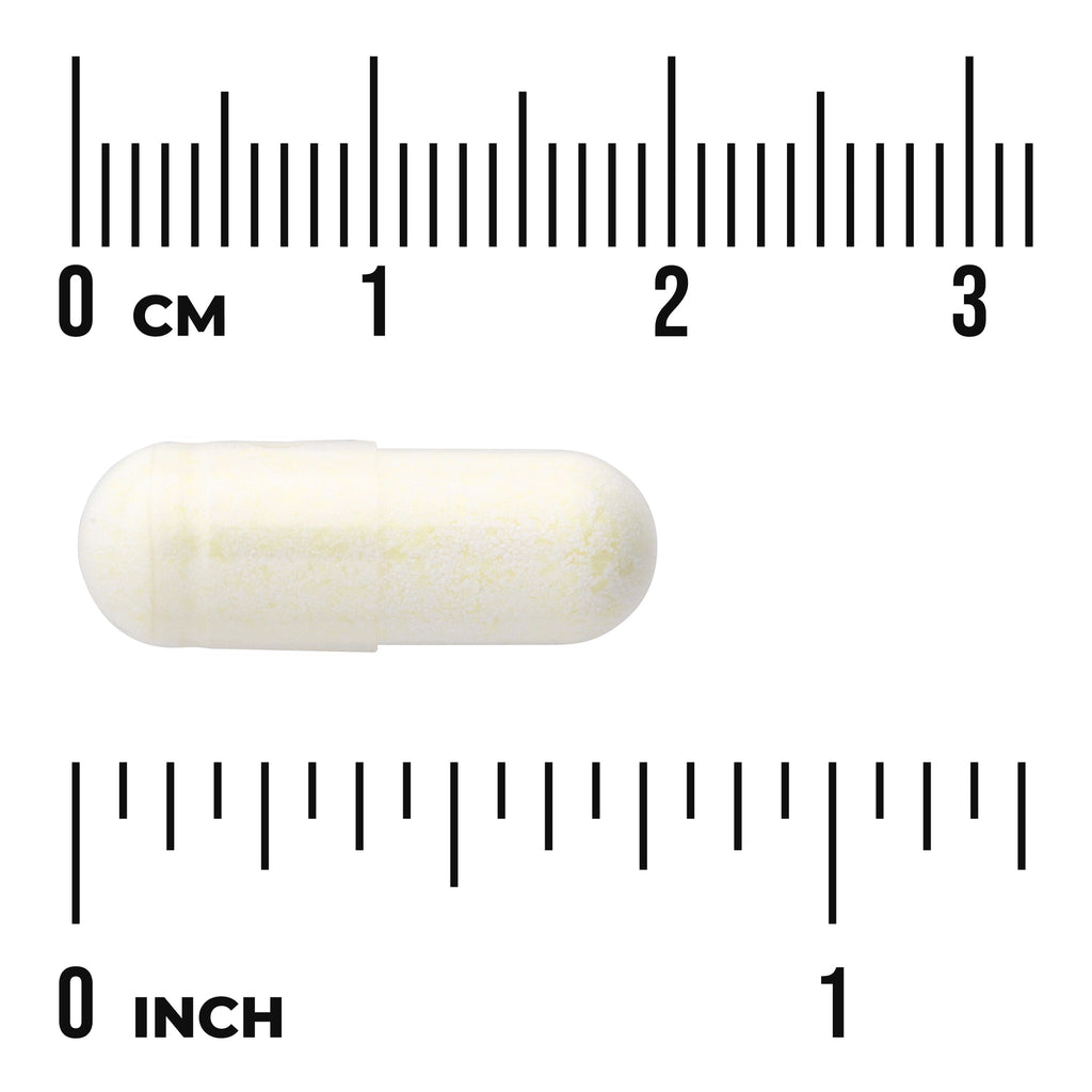 SW982 | White-yellow capsule shown next to metric and inch rulers for size reference - Thumbnail