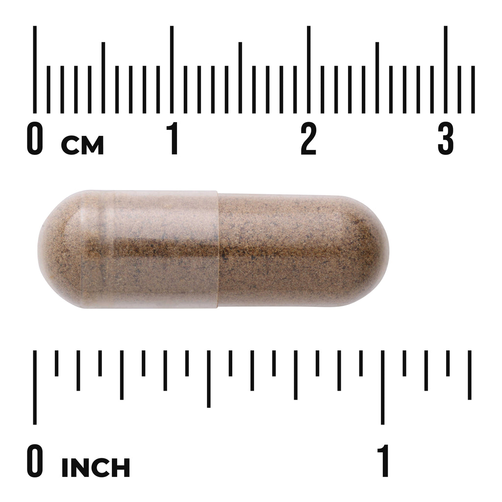 SWP023 | Brown capsule with cm and inch rulers for size reference - Thumbnail