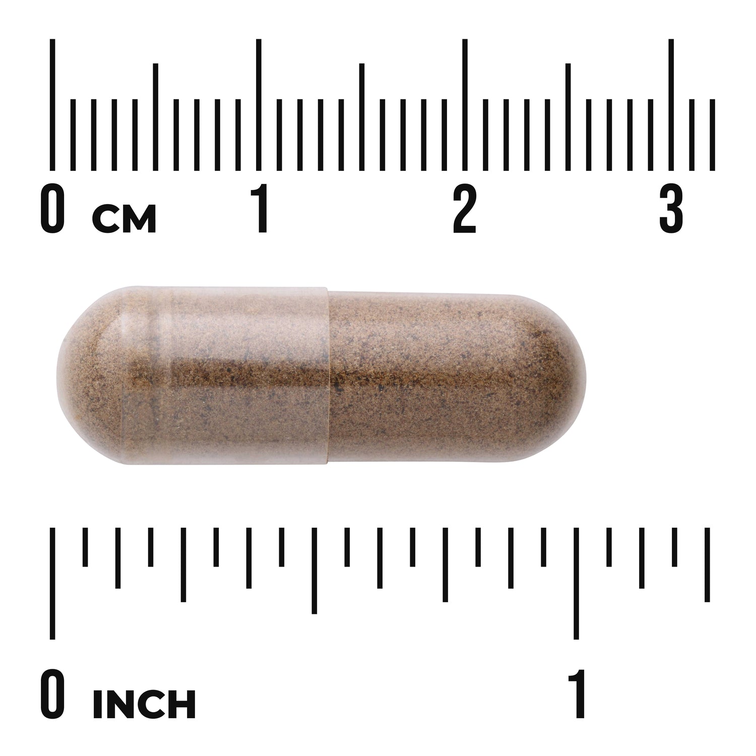 SWP023 | Brown capsule with cm and inch rulers for size reference