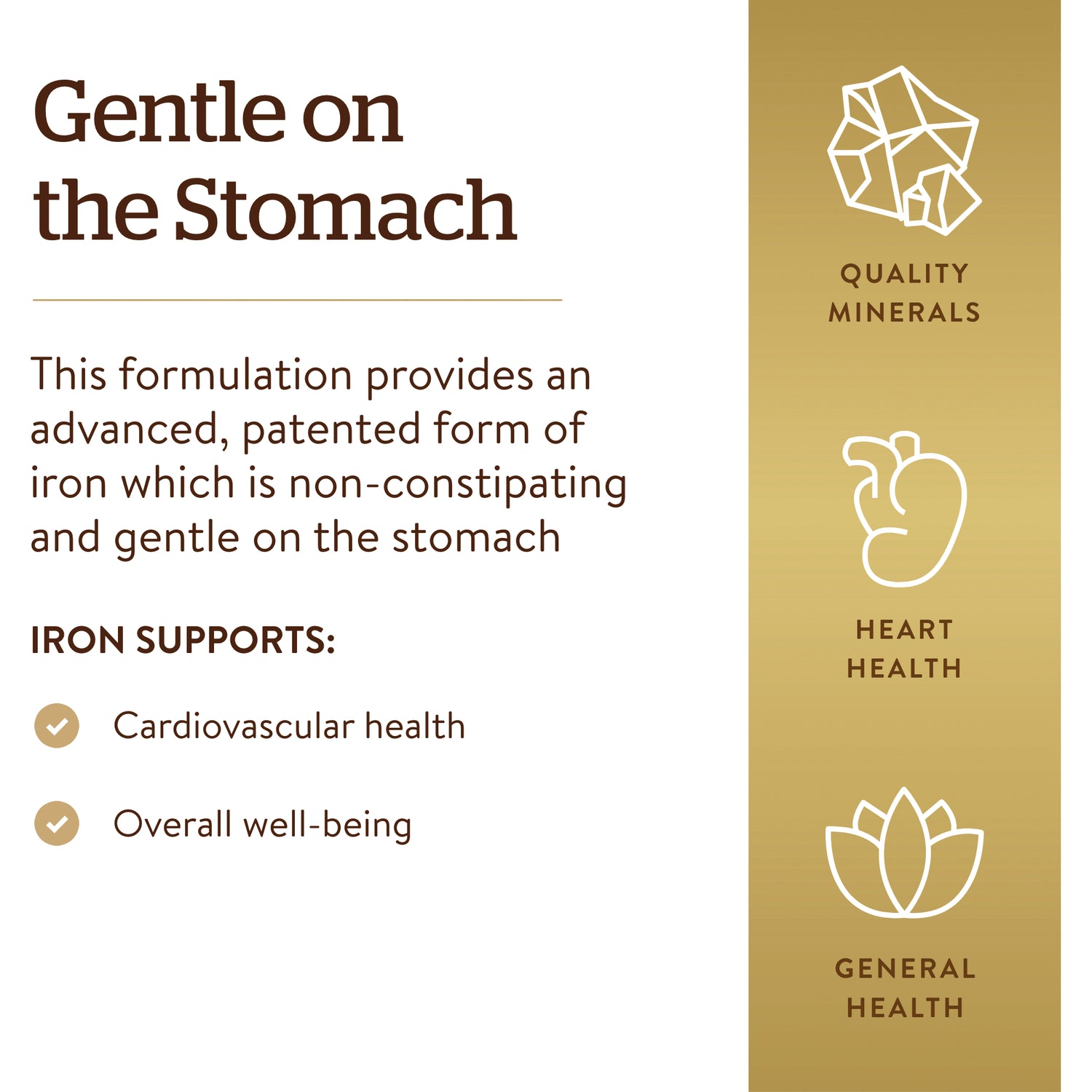 SLG227 | back panel labeled Gentle on the Stomach describing non-constipating iron, lists cardiovascular health and overall well-being