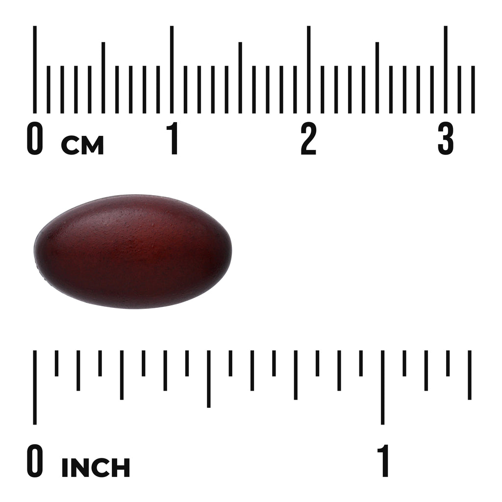 SW902 | Dark red softgel shown with cm and inch rulers to indicate size - Thumbnail