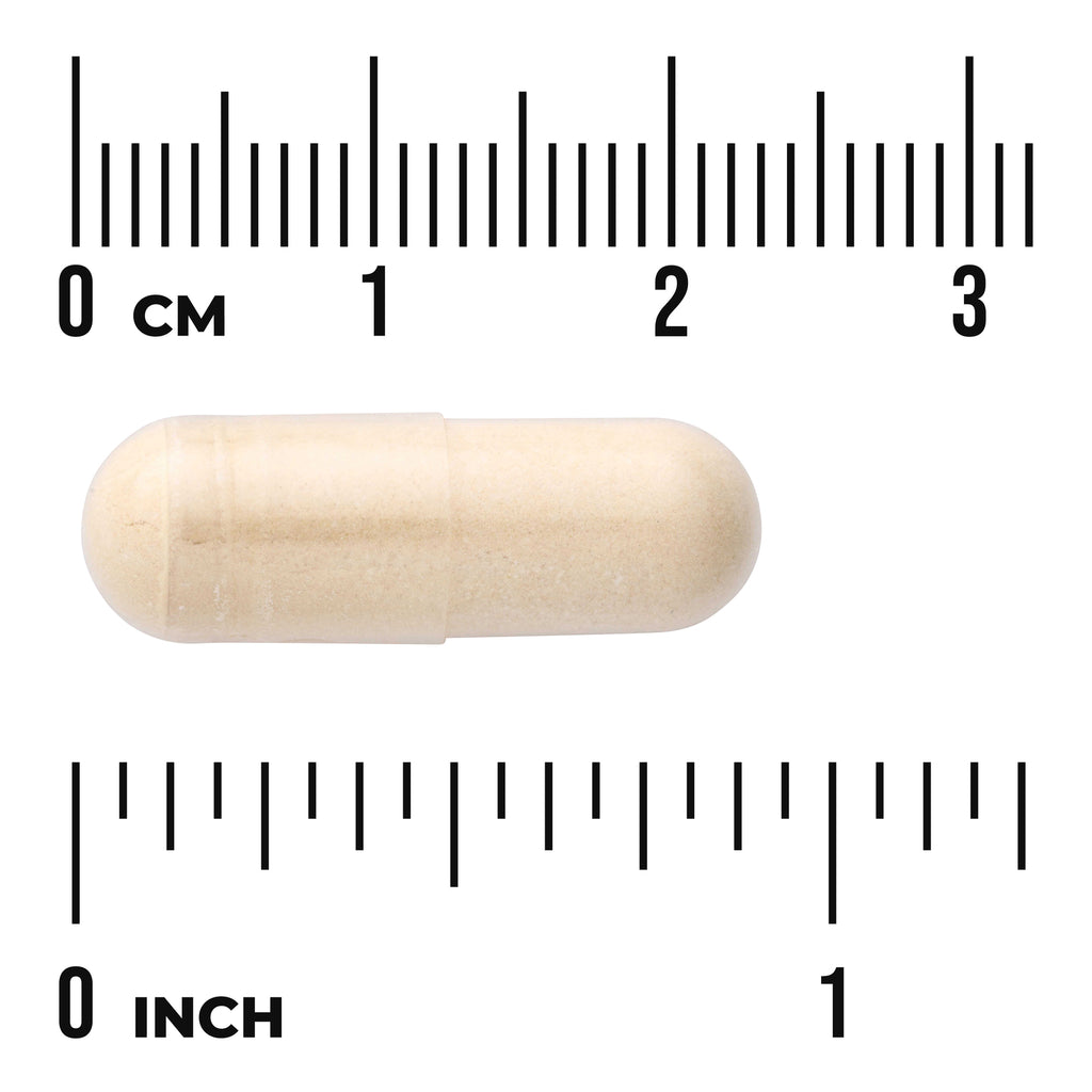SW1136 | Beige capsule shown with centimeter and inch rulers for size reference - Thumbnail