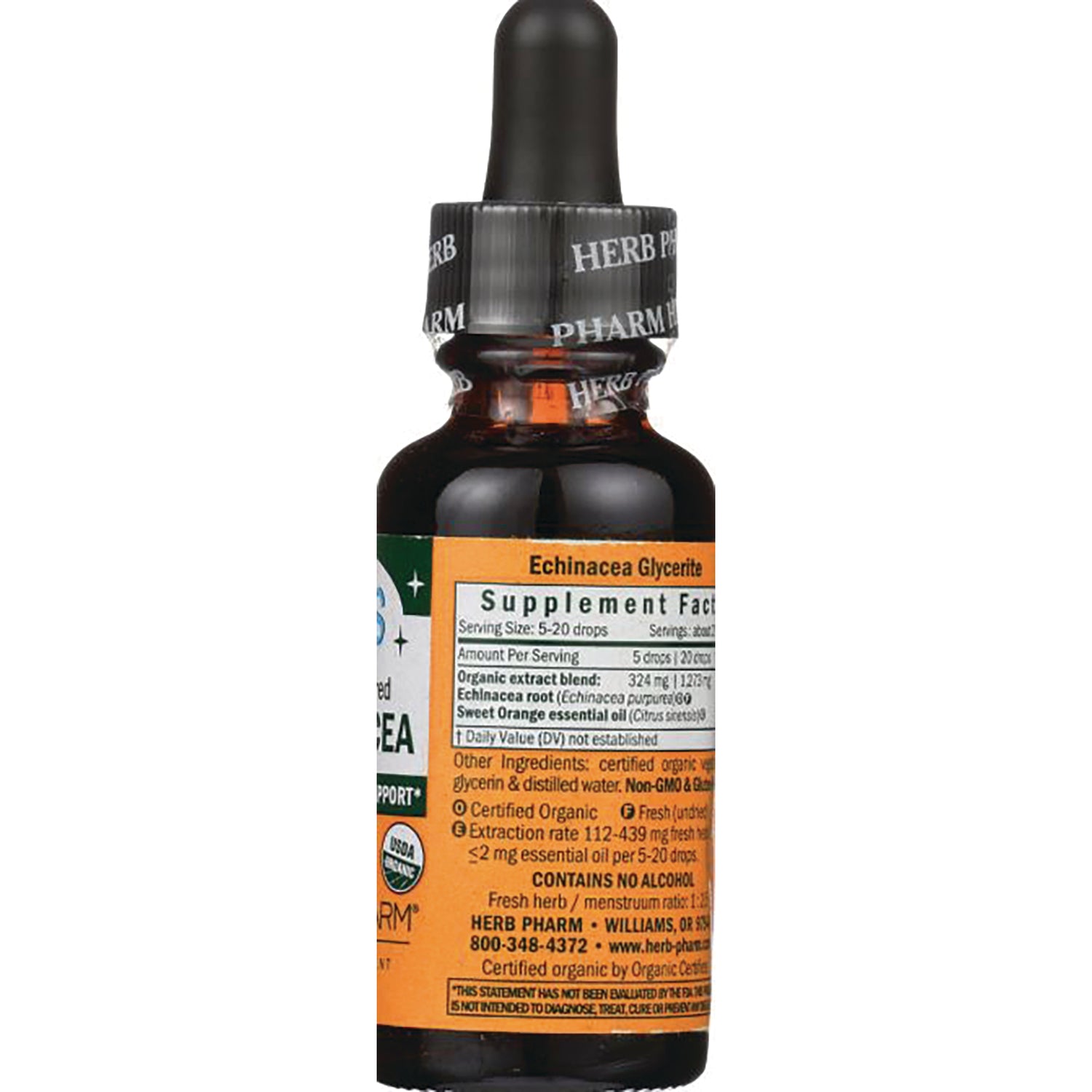 HPH010 | Back label showing Supplement Facts, ingredients, and contains no alcohol text on Echinacea glycerite bottle