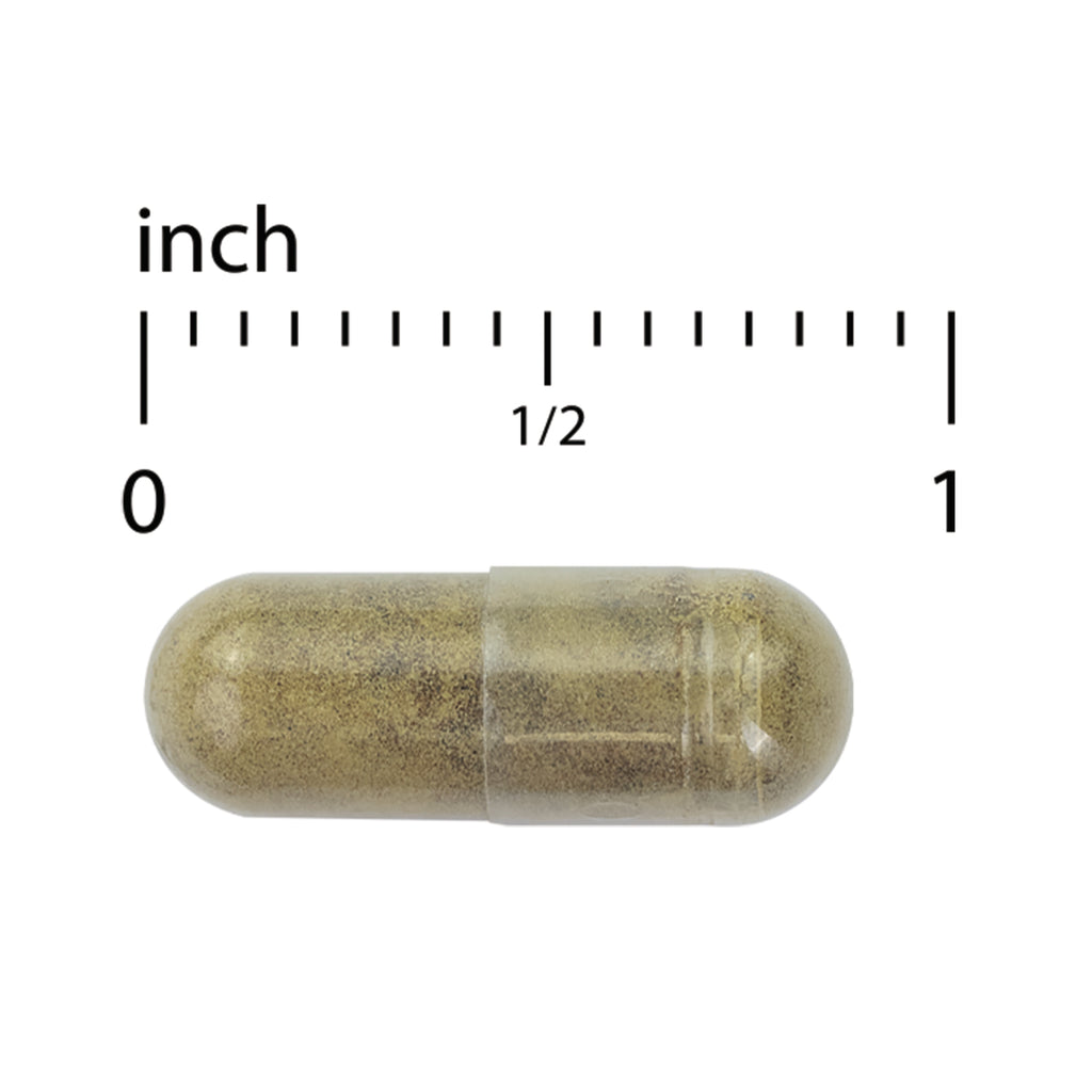 EUR067 | clear capsule filled with green-brown powder shown under inch ruler indicating size - Thumbnail